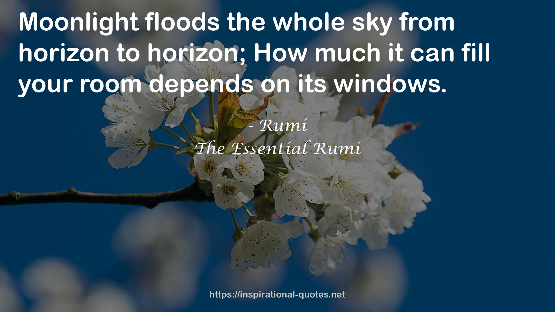 The Essential Rumi QUOTES