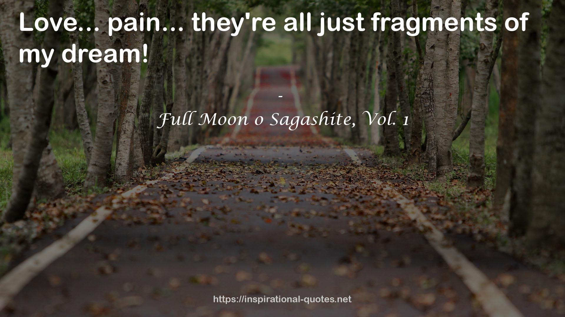 Full Moon o Sagashite, Vol. 1 QUOTES