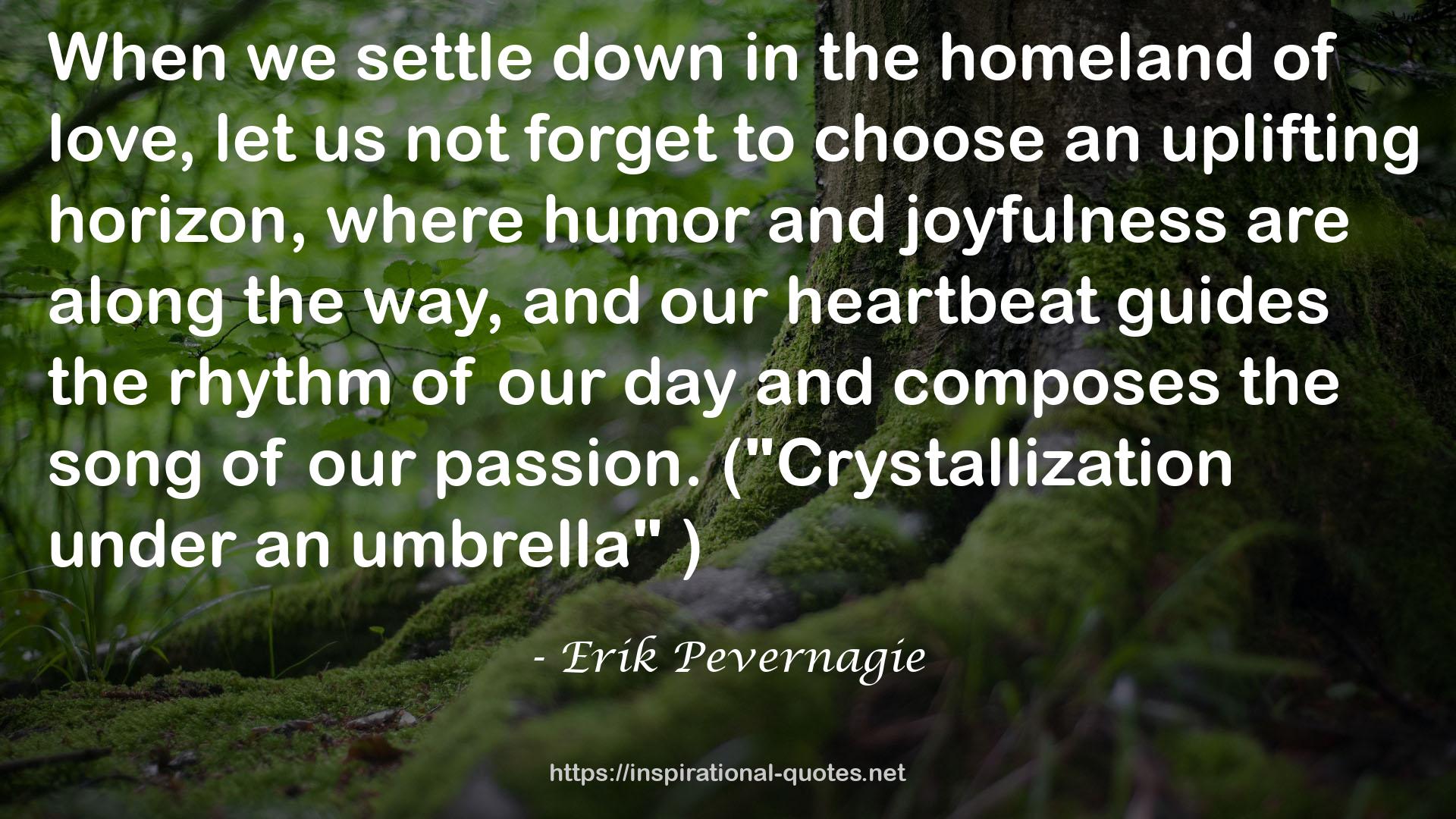 Erik Pevernagie QUOTES