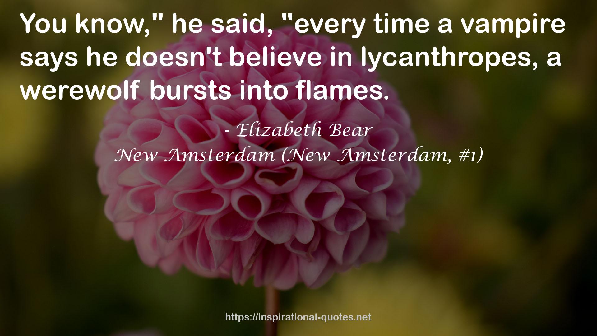 New Amsterdam (New Amsterdam, #1) QUOTES