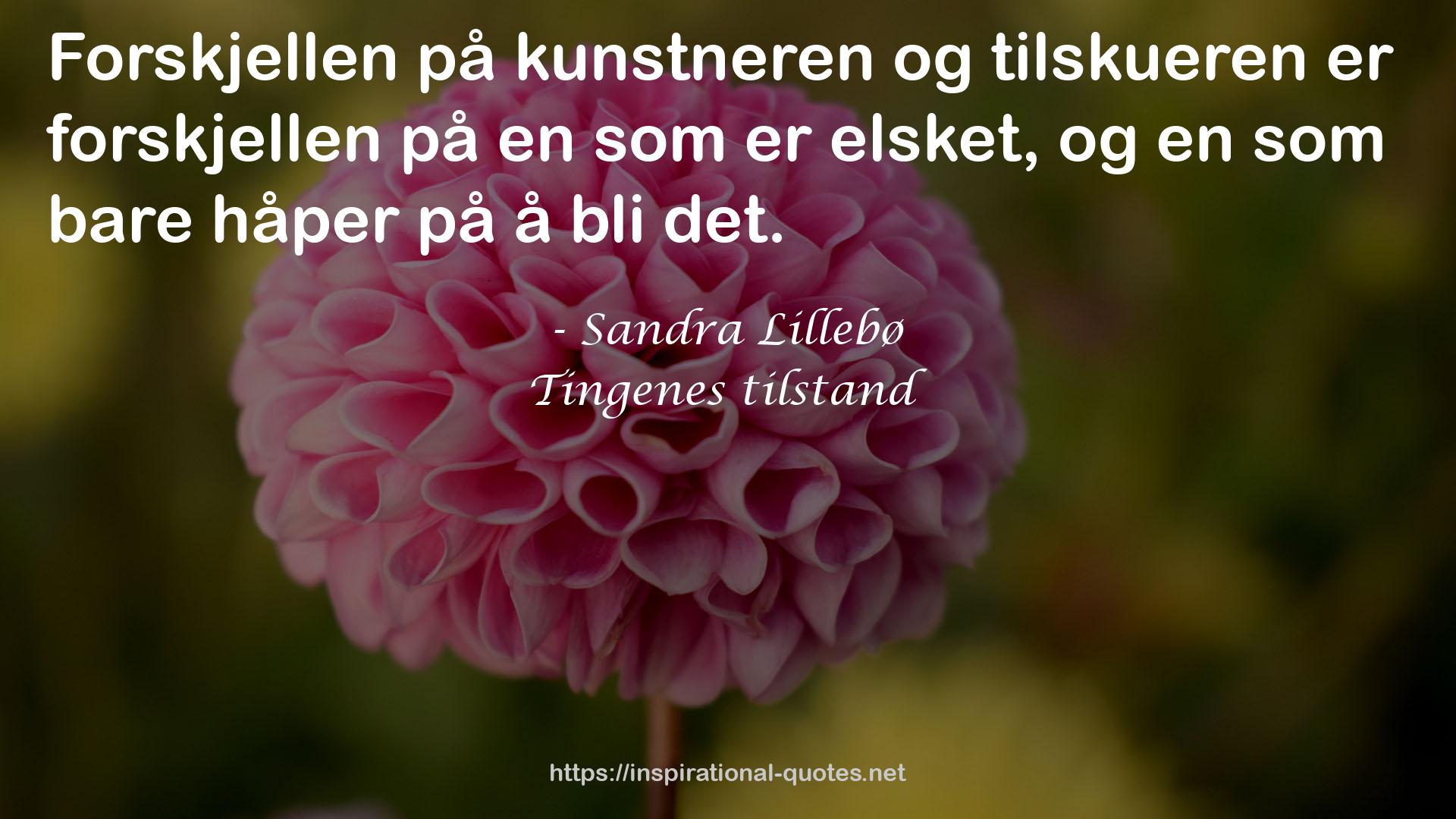 Sandra Lillebø QUOTES