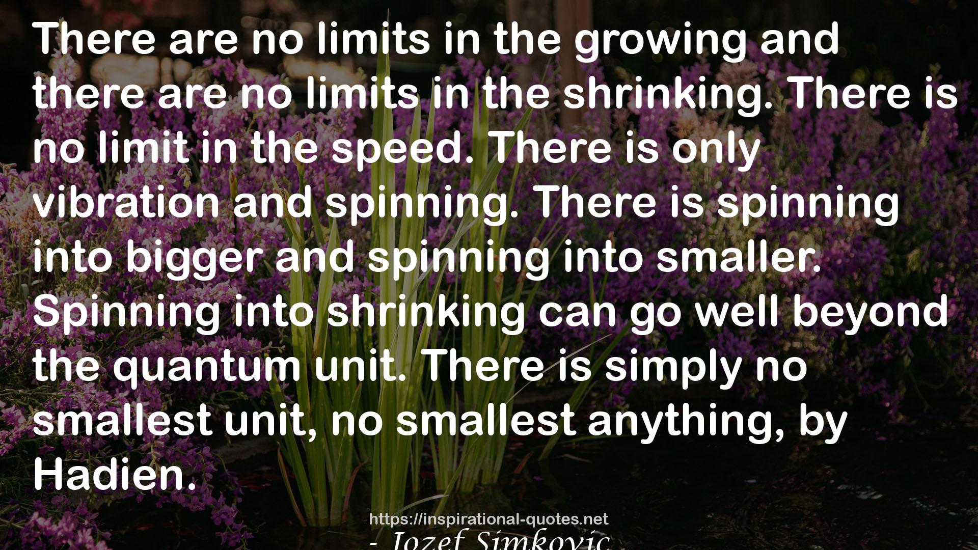 Jozef Simkovic QUOTES