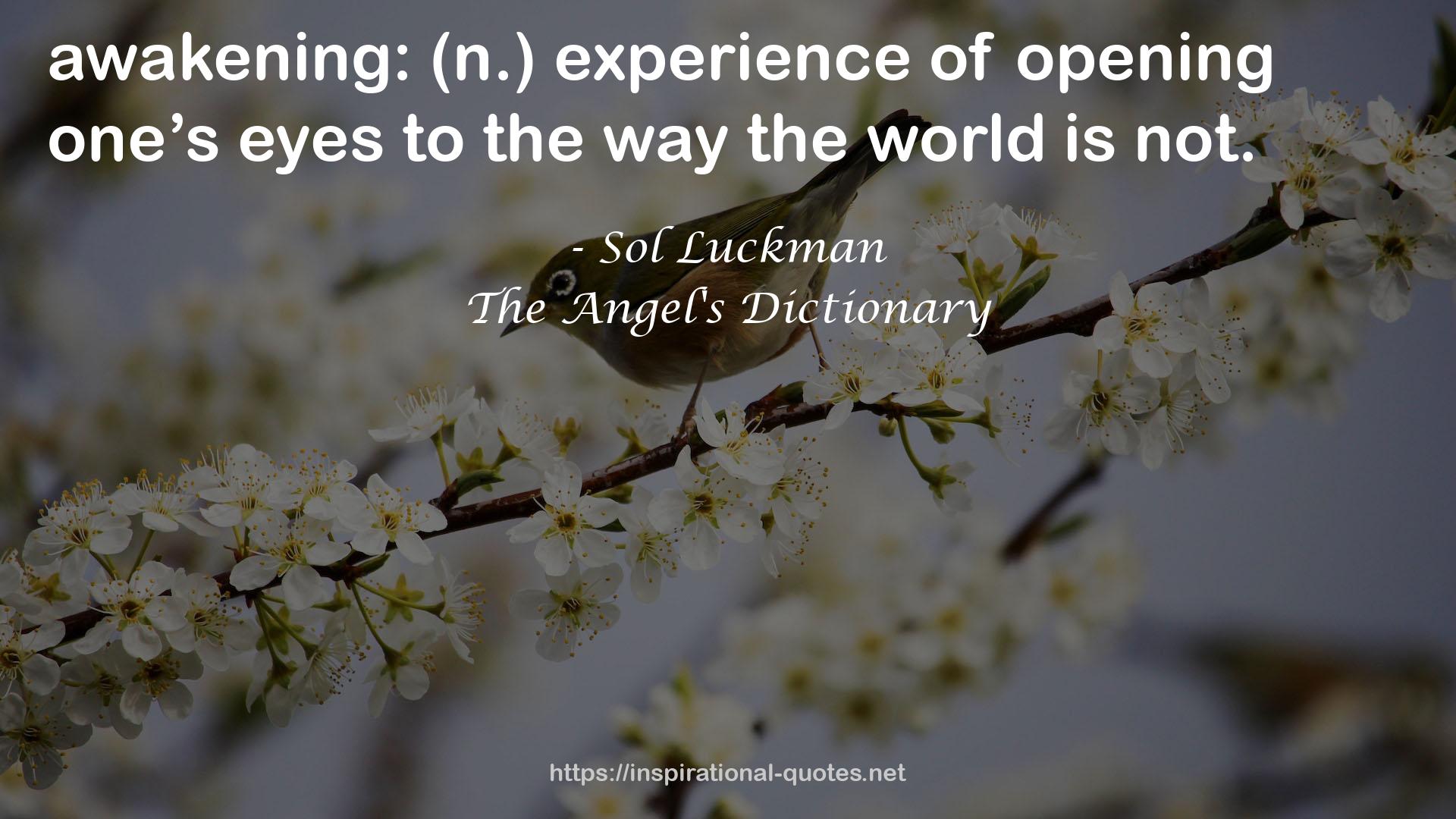 The Angel's Dictionary QUOTES