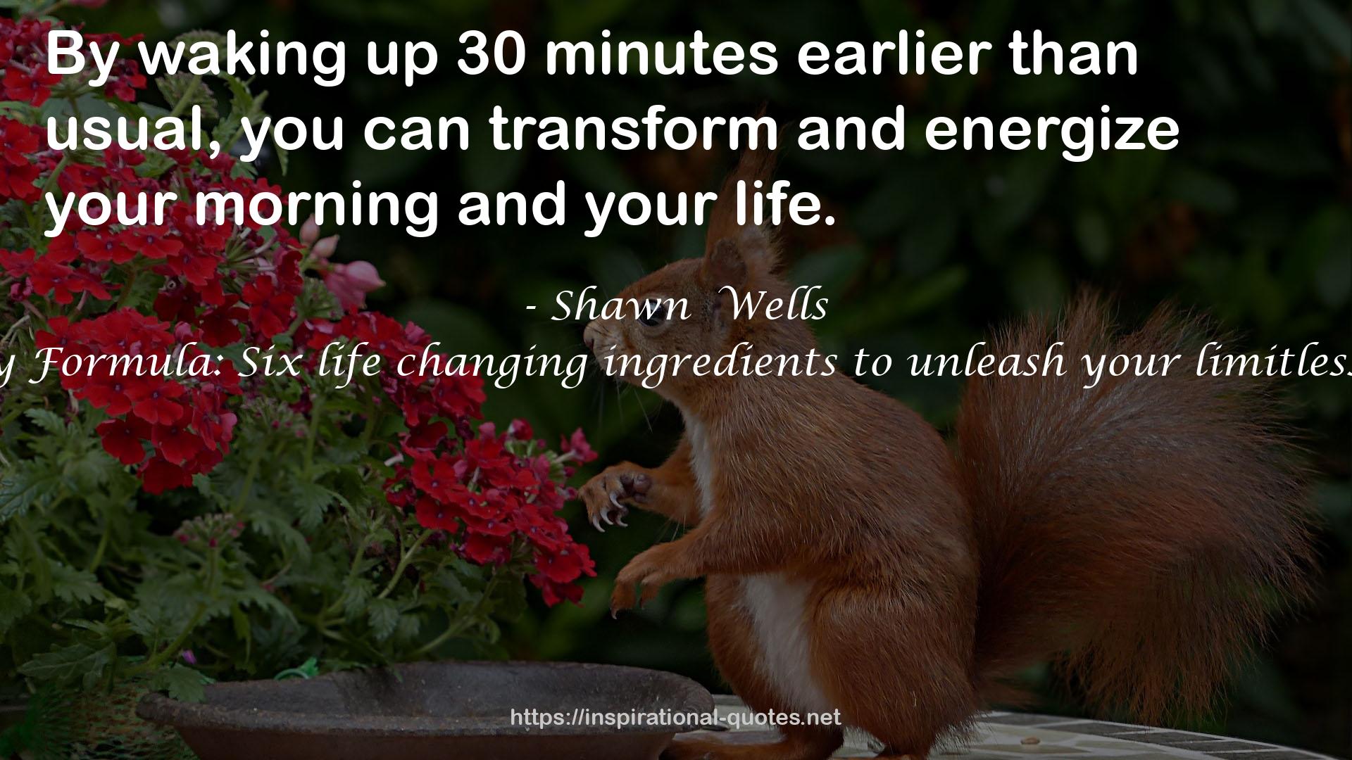 The Energy Formula: Six life changing ingredients to unleash your limitless potential QUOTES
