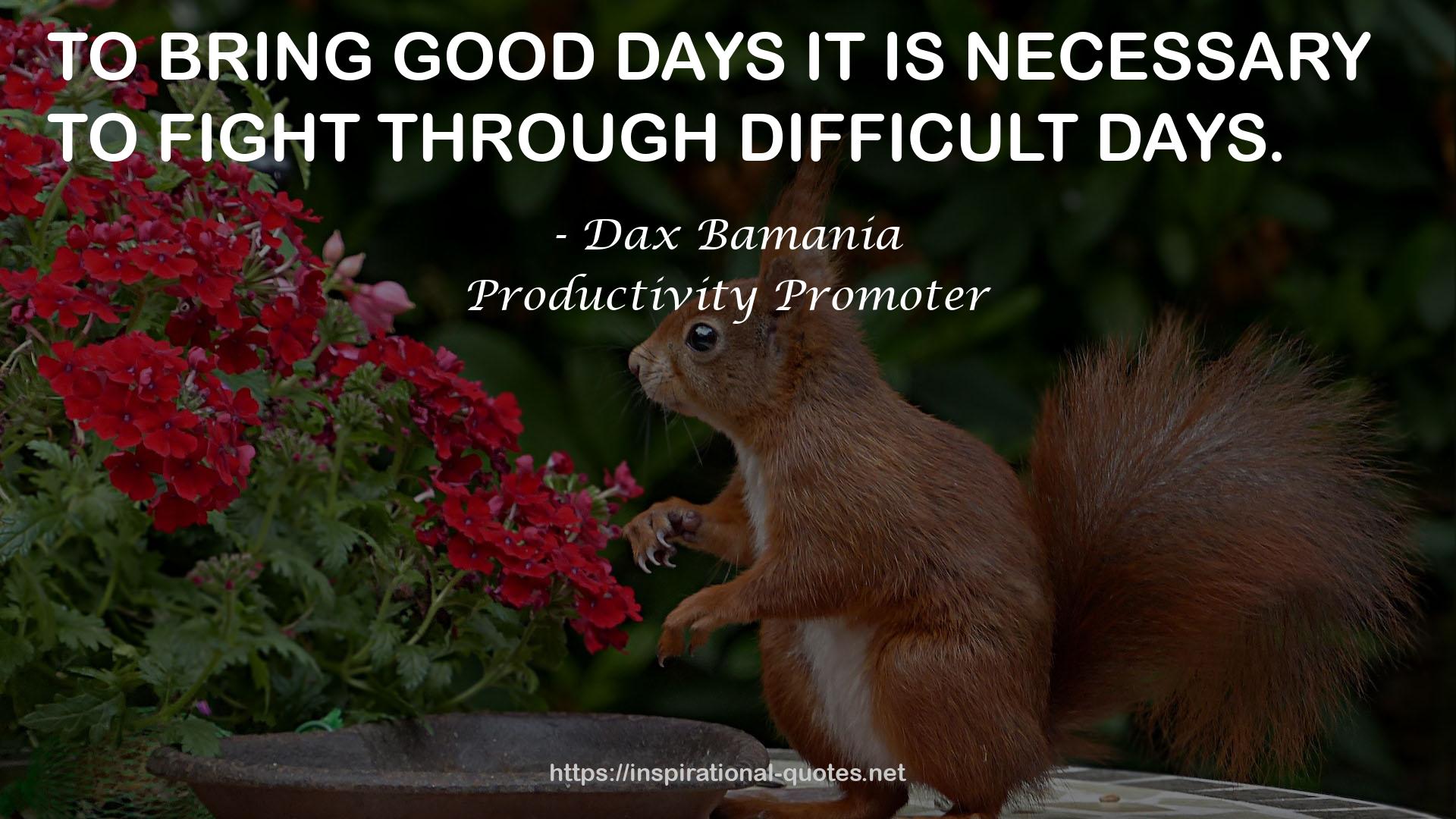 Productivity Promoter QUOTES