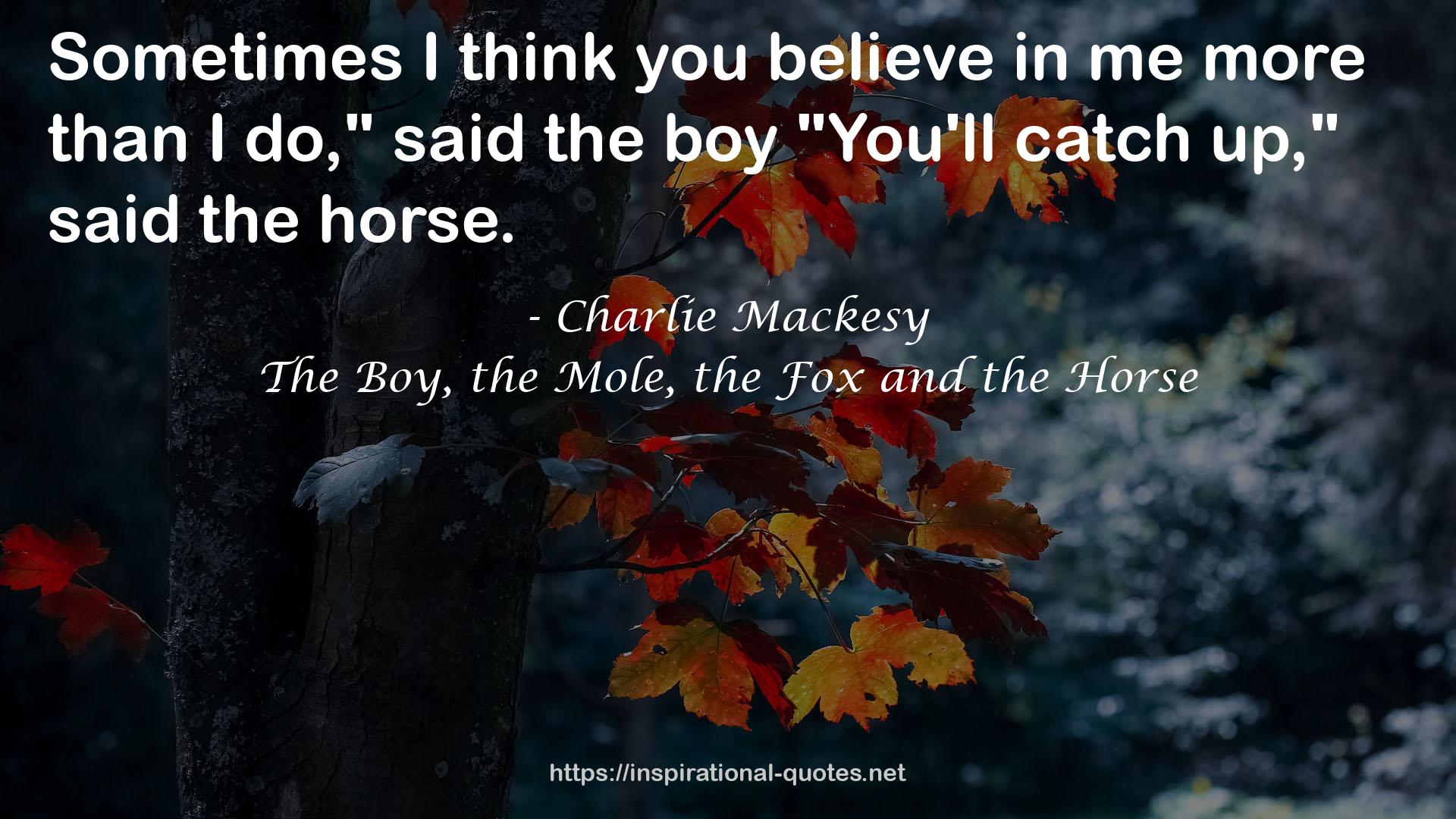 The Boy, the Mole, the Fox and the Horse QUOTES