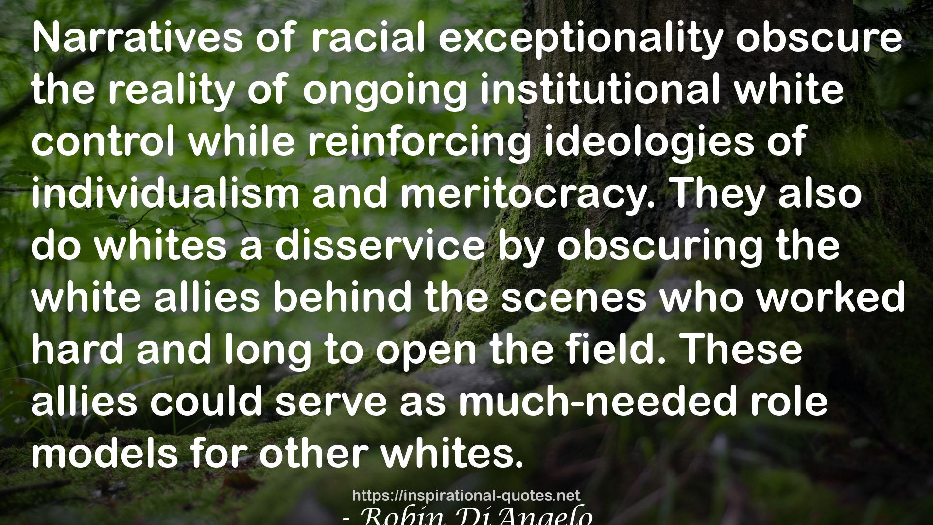 What Does It Mean to Be White?; Developing White Racial Literacy QUOTES