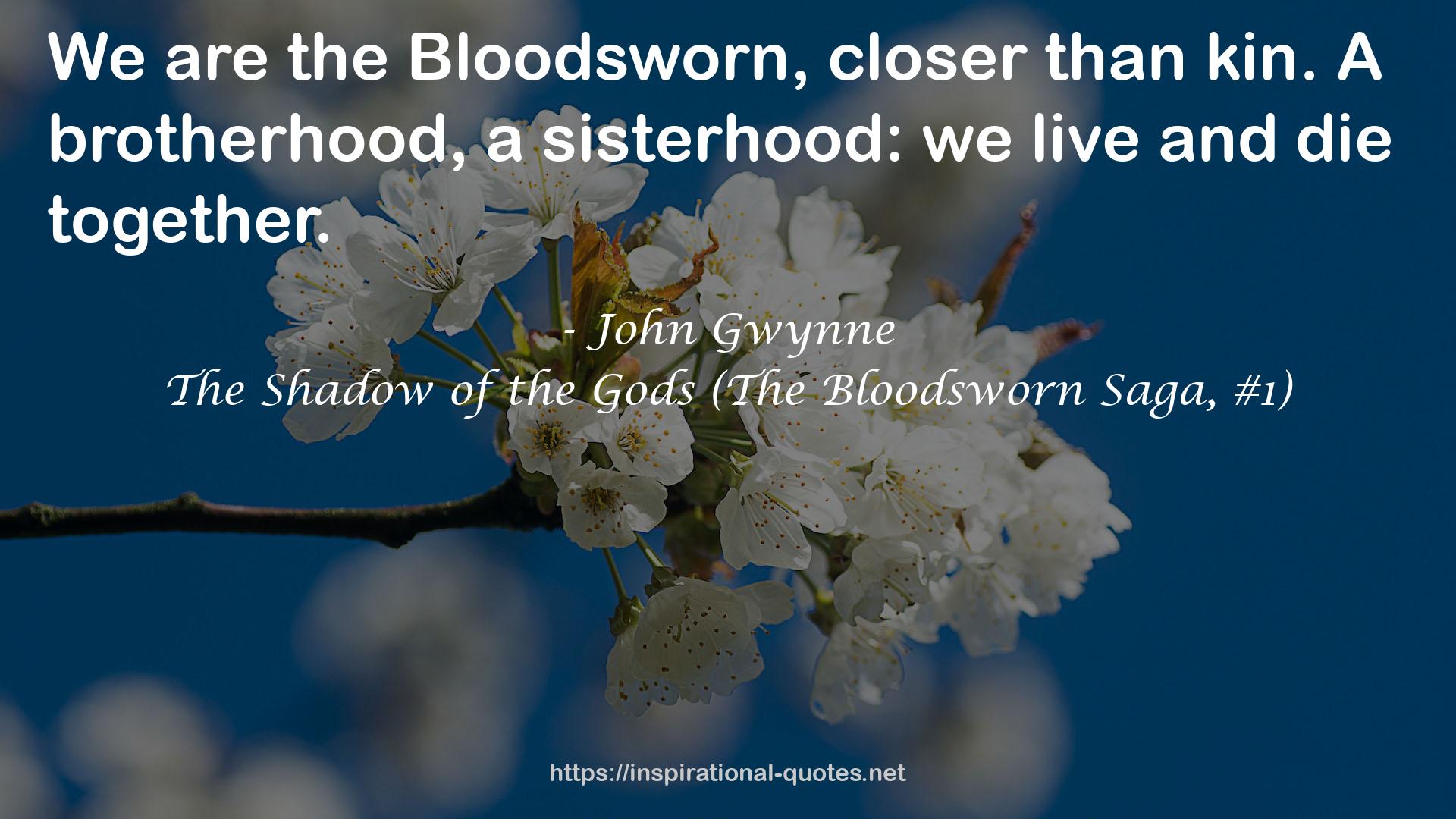 The Shadow of the Gods (The Bloodsworn Saga, #1) QUOTES