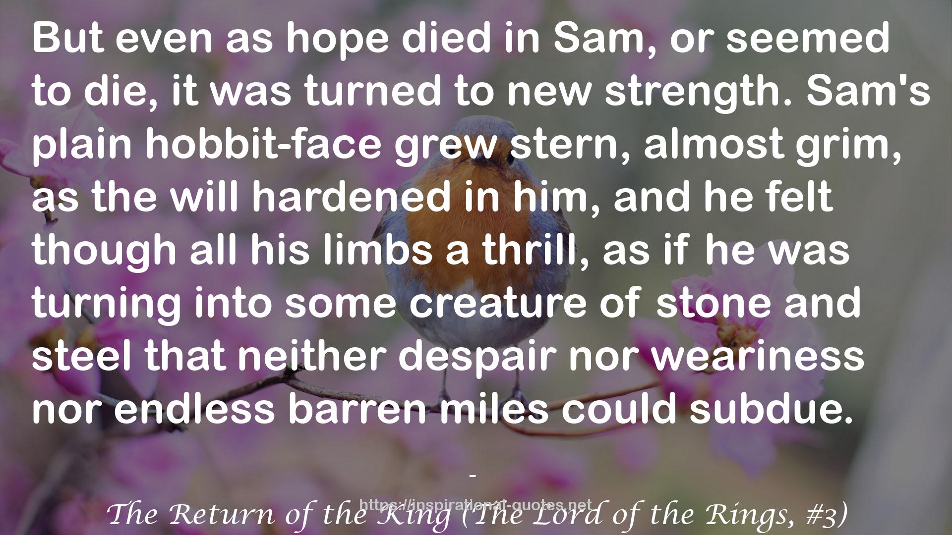 The Return of the King (The Lord of the Rings, #3) QUOTES