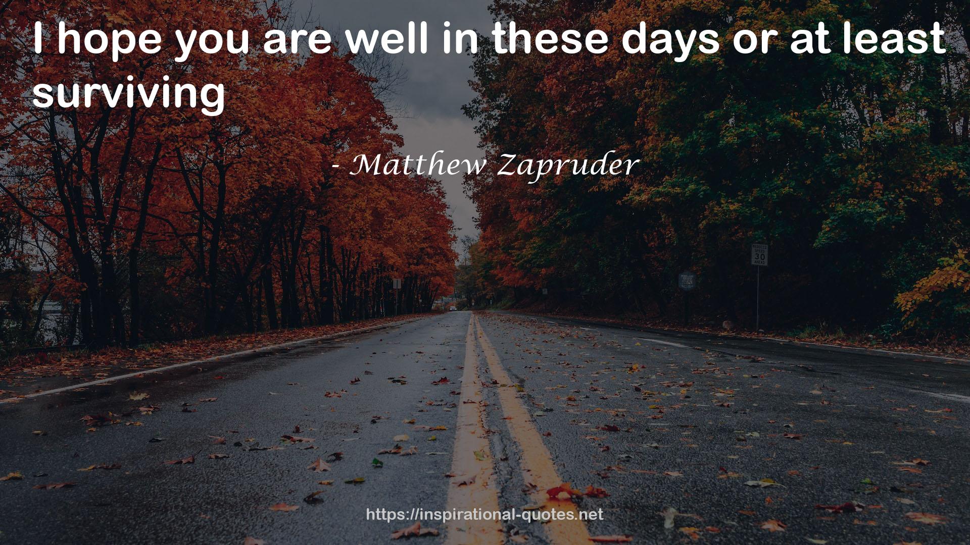 Matthew Zapruder QUOTES