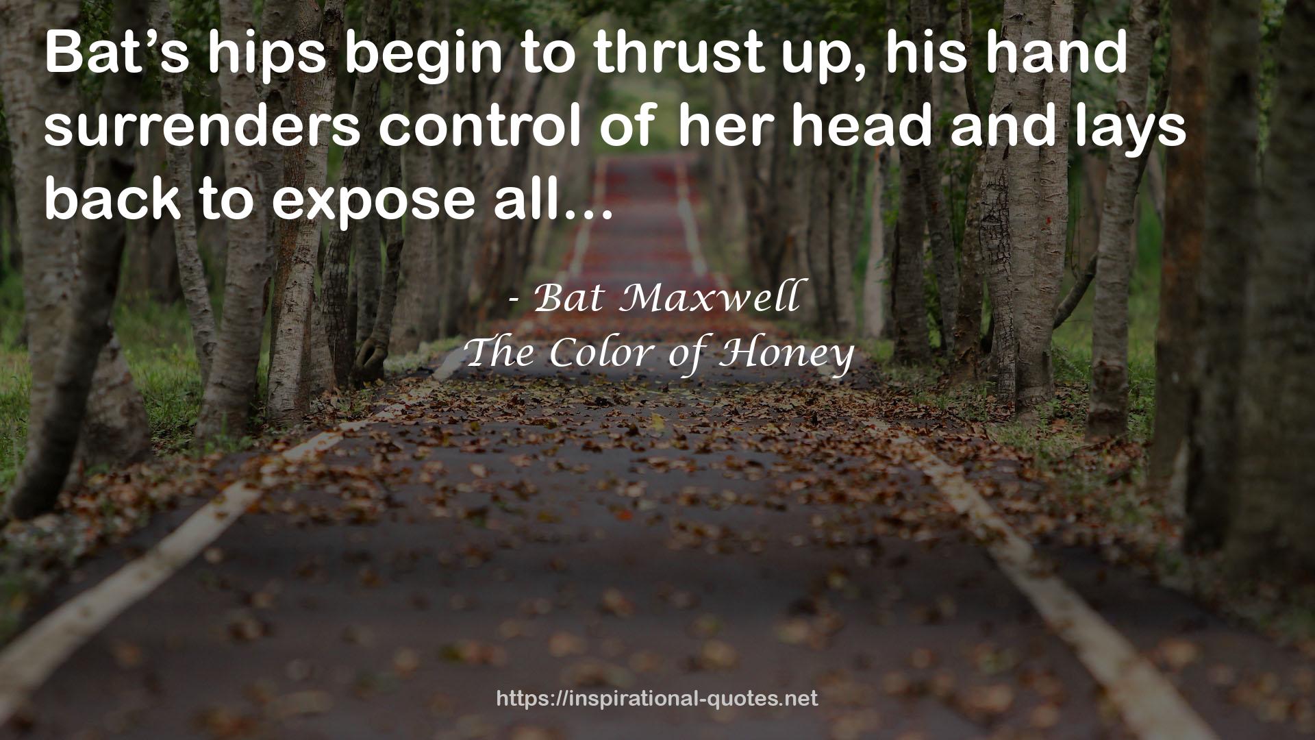 The Color of Honey QUOTES