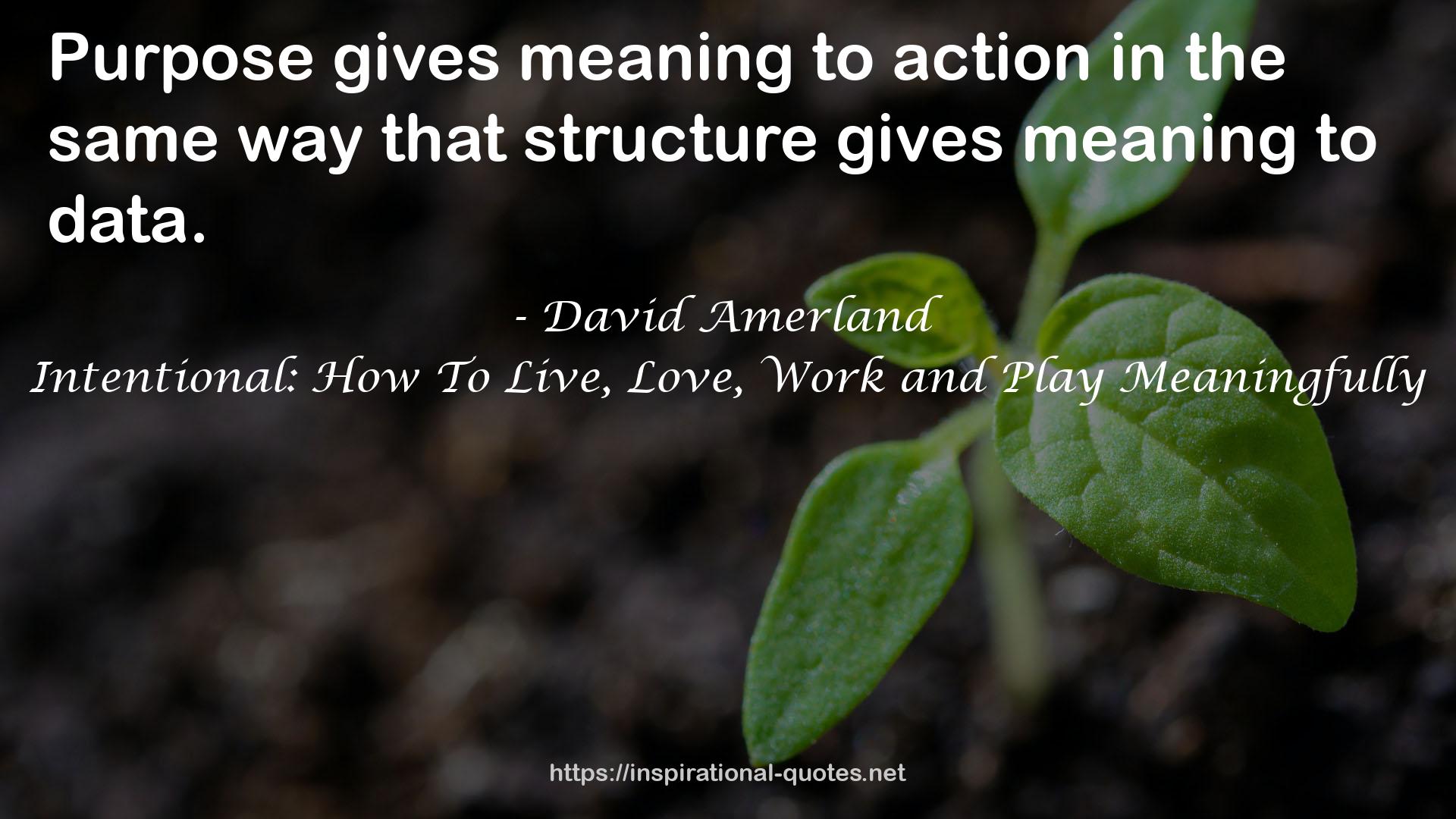 Intentional: How To Live, Love, Work and Play Meaningfully QUOTES