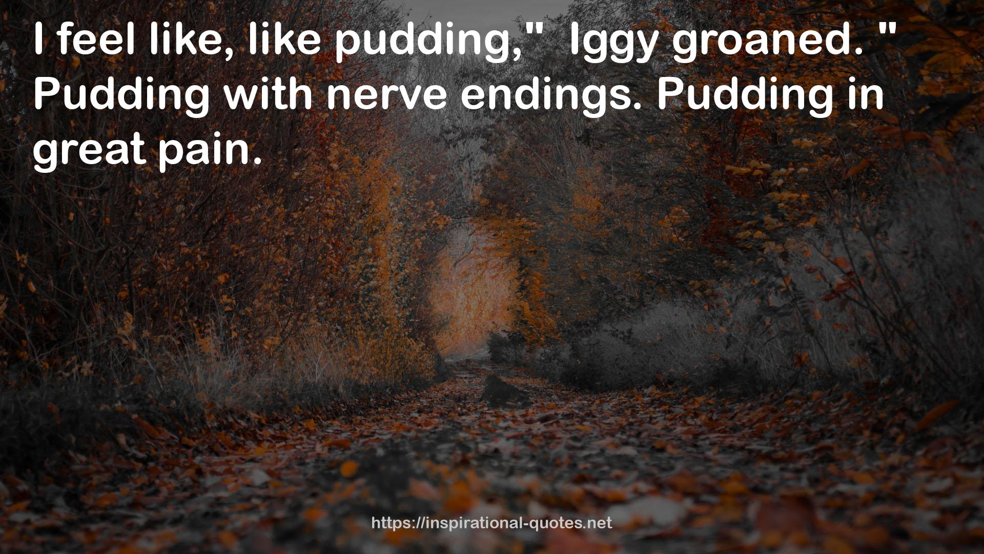 pudding  QUOTES