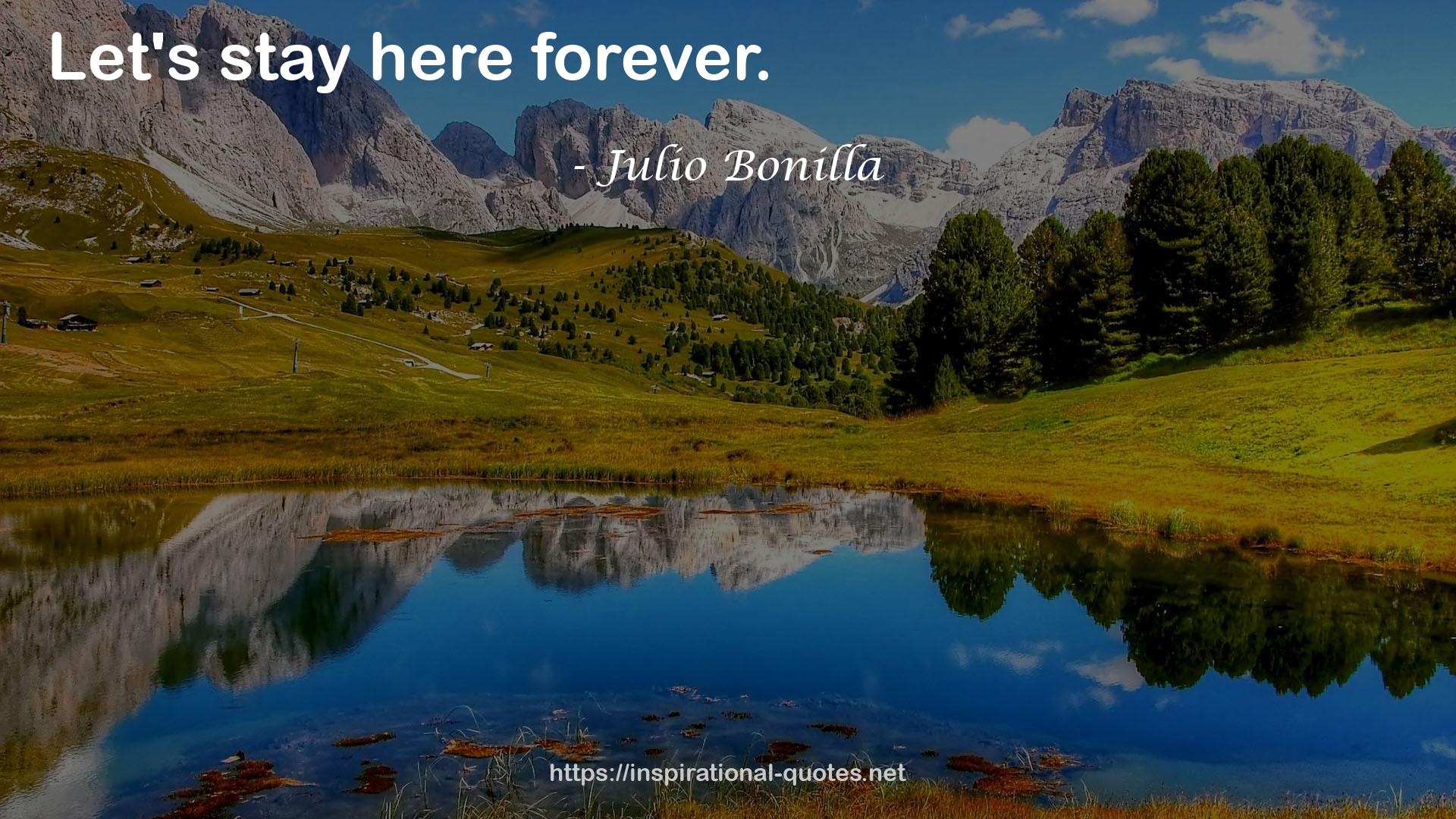 Julio Bonilla QUOTES