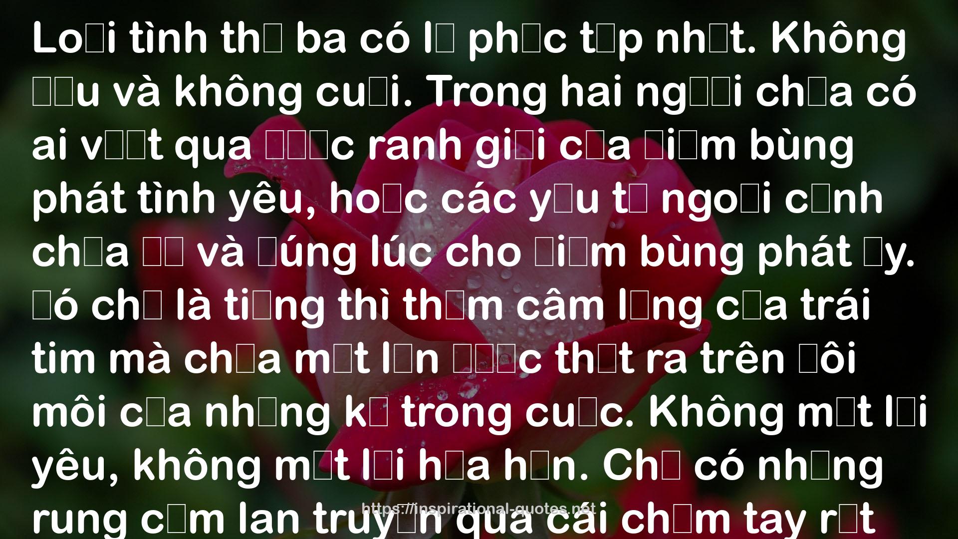 Giữa trời và đất là tình yêu QUOTES