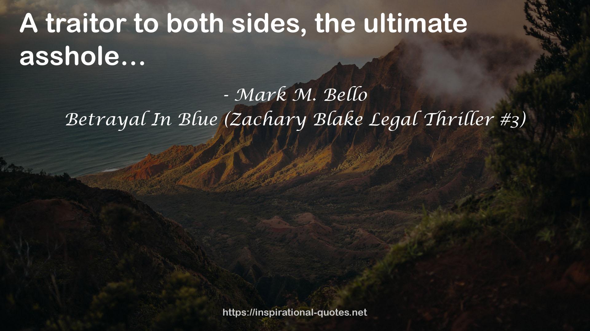 Betrayal In Blue (Zachary Blake Legal Thriller #3) QUOTES