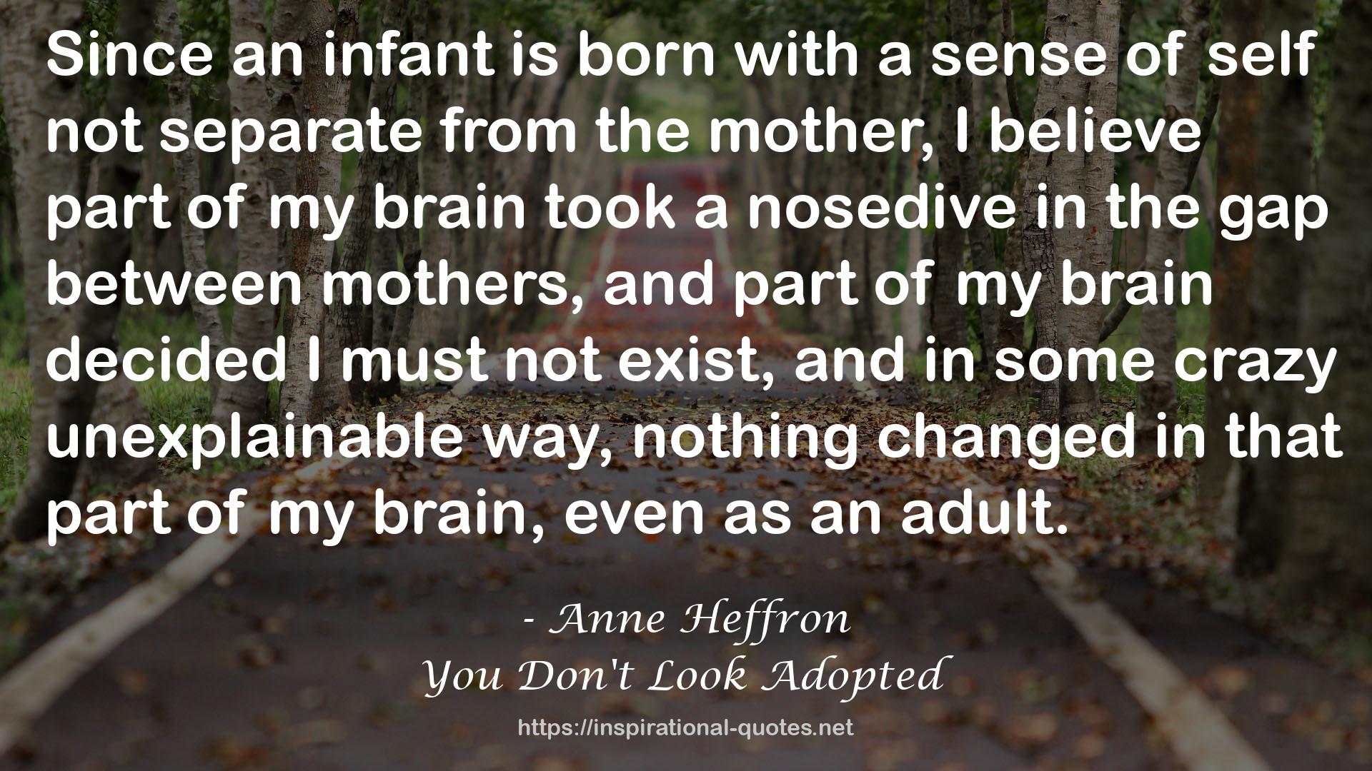 Anne Heffron QUOTES