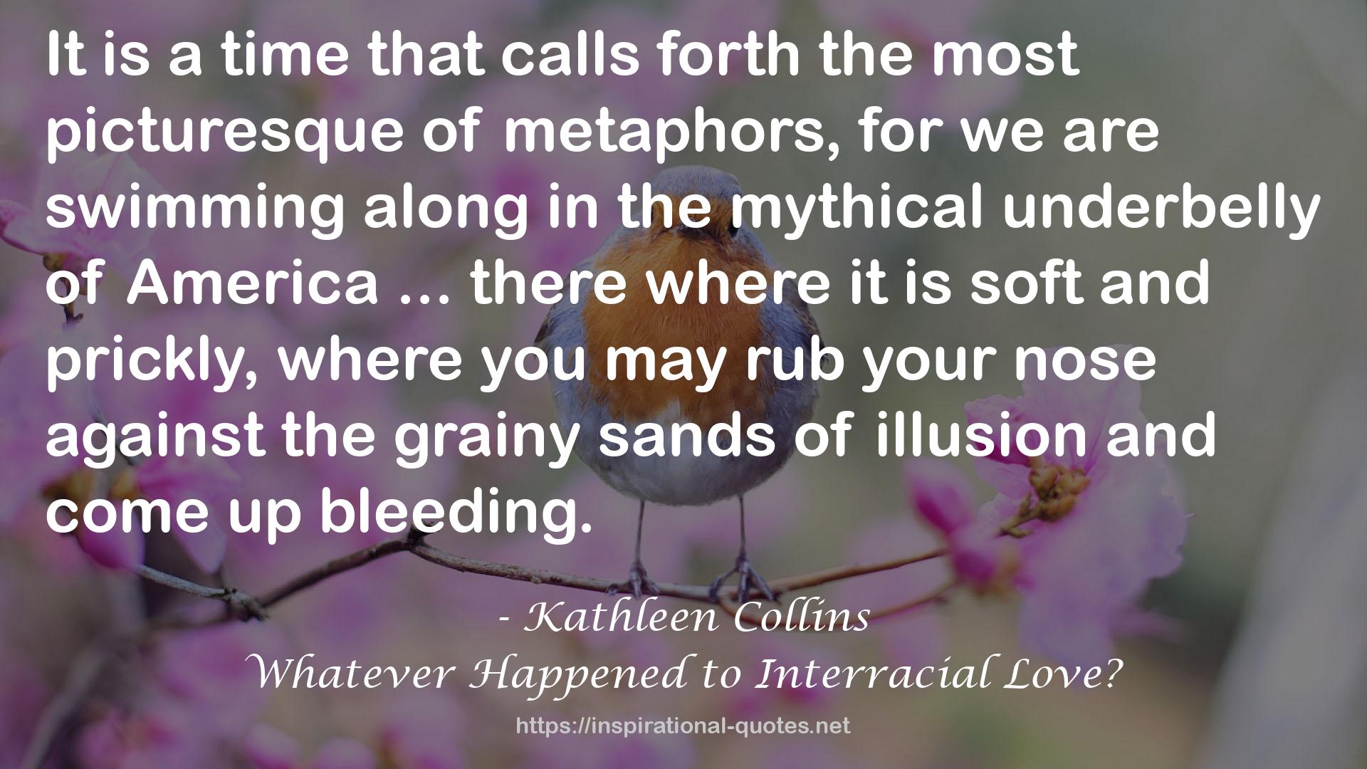 Whatever Happened to Interracial Love? QUOTES