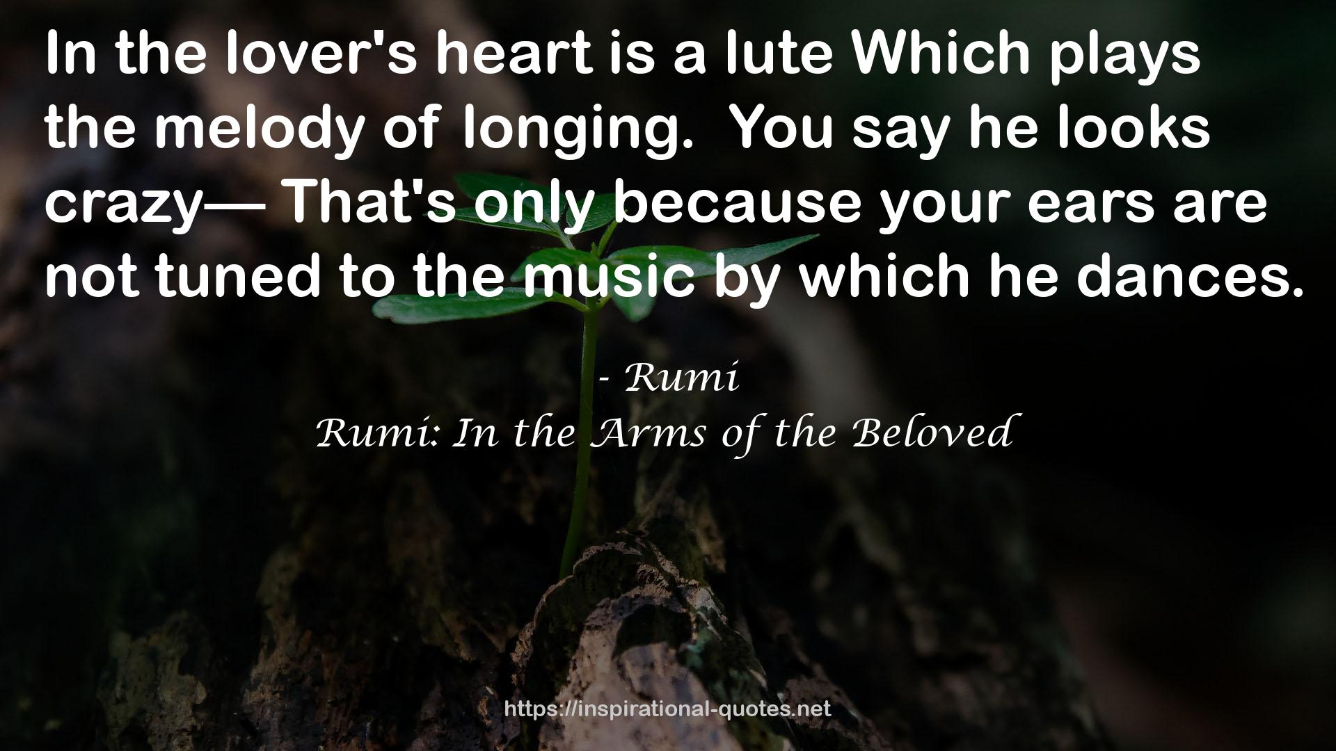 Rumi: In the Arms of the Beloved QUOTES