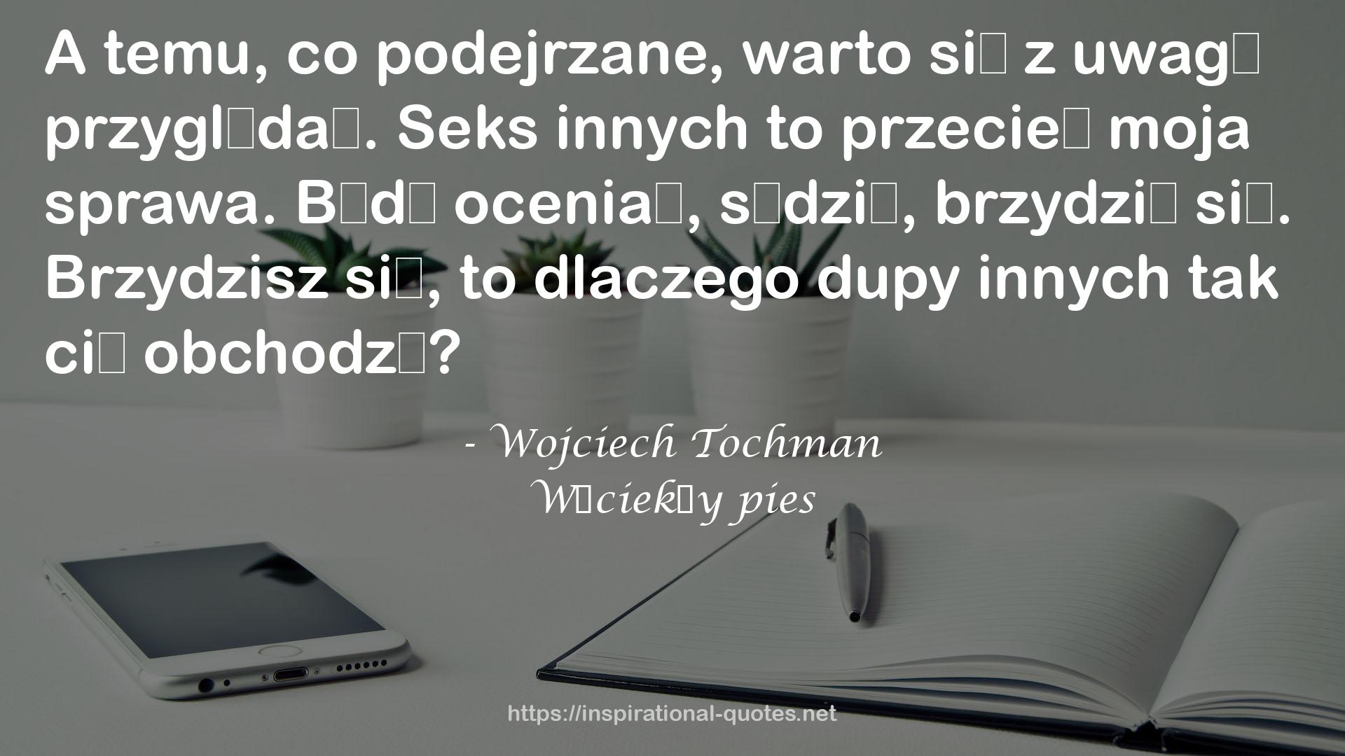 Wściekły pies QUOTES