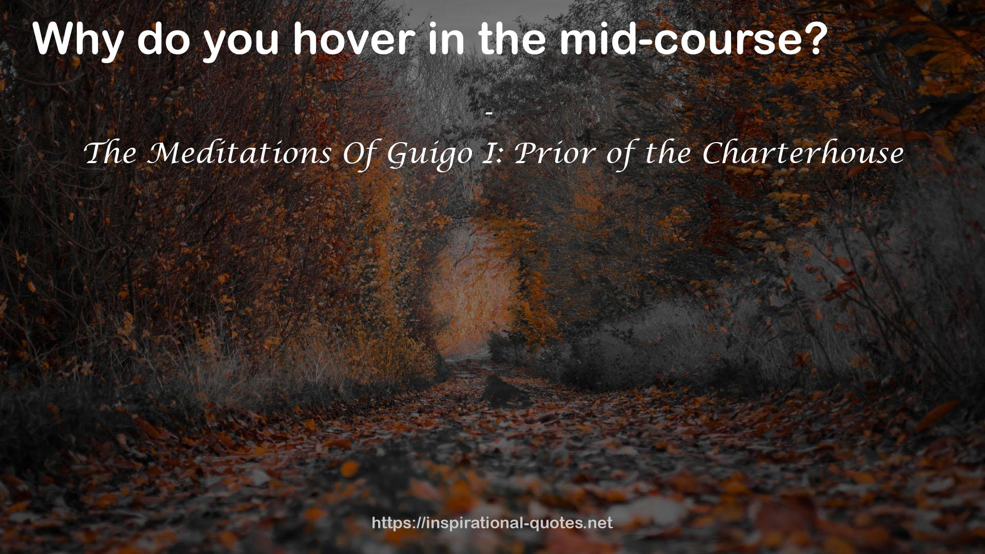 The Meditations Of Guigo I: Prior of the Charterhouse QUOTES