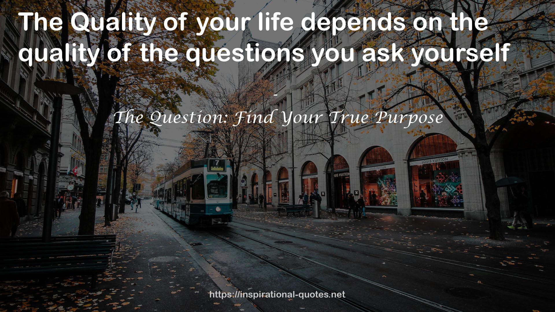 The Question: Find Your True Purpose QUOTES