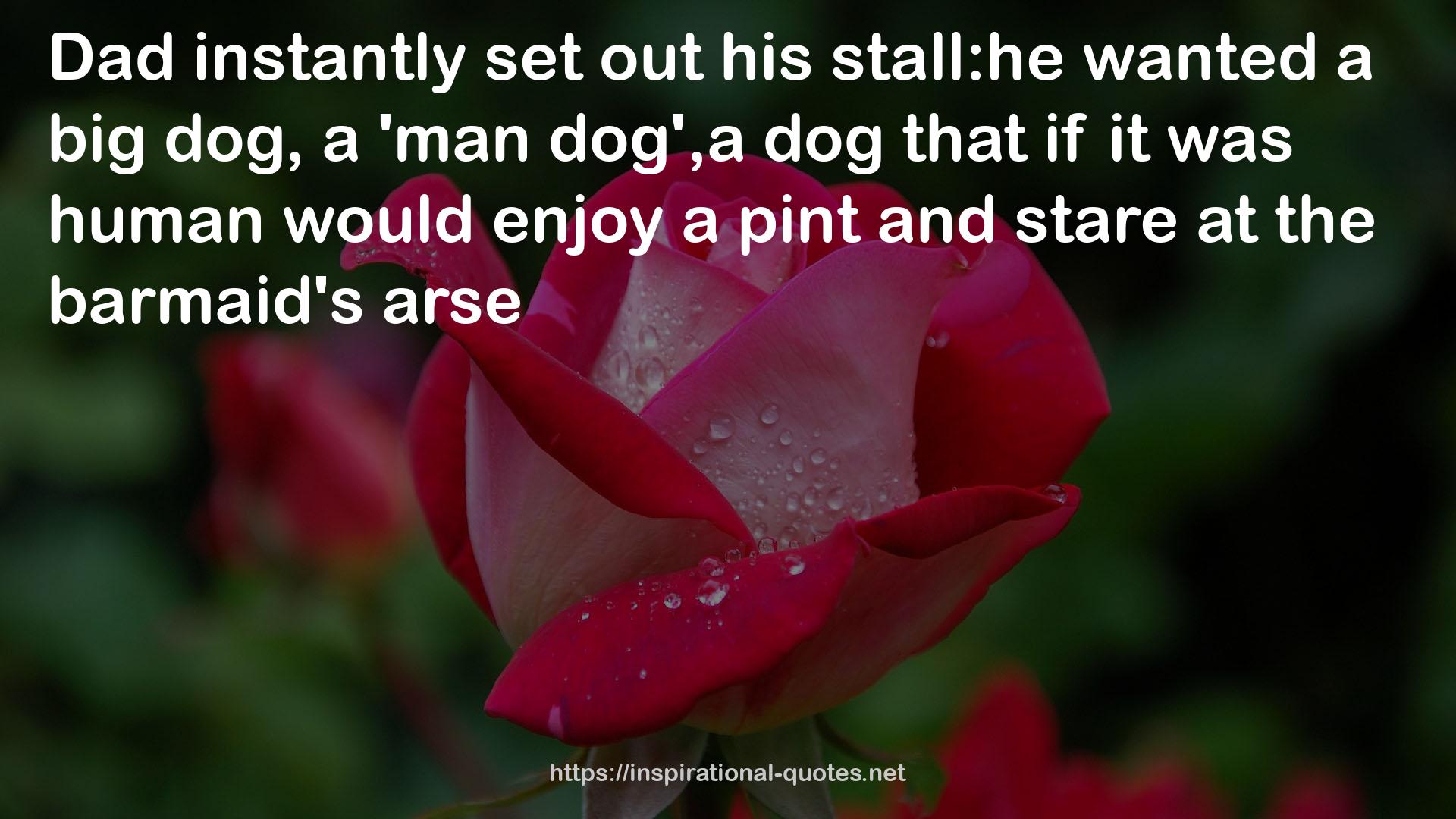 a 'man dog',a dog  QUOTES