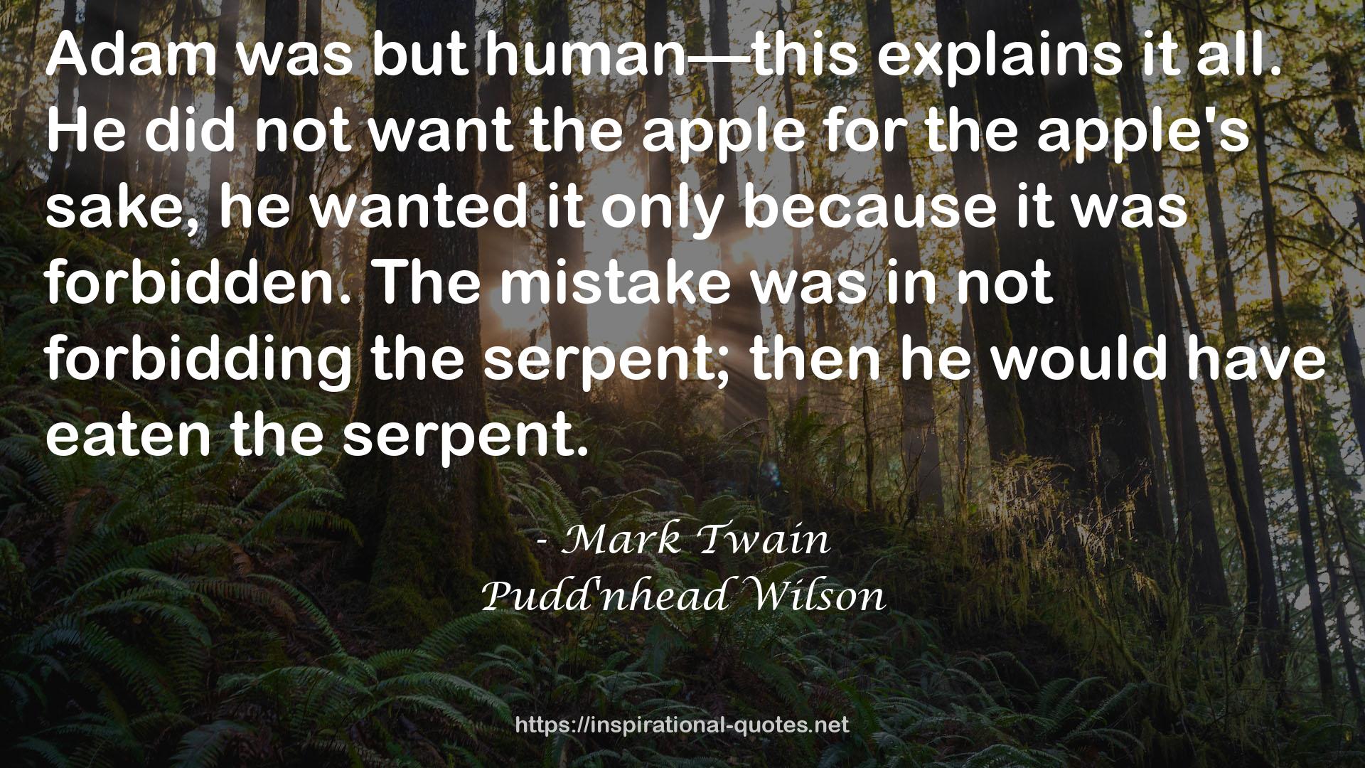 Pudd'nhead Wilson QUOTES