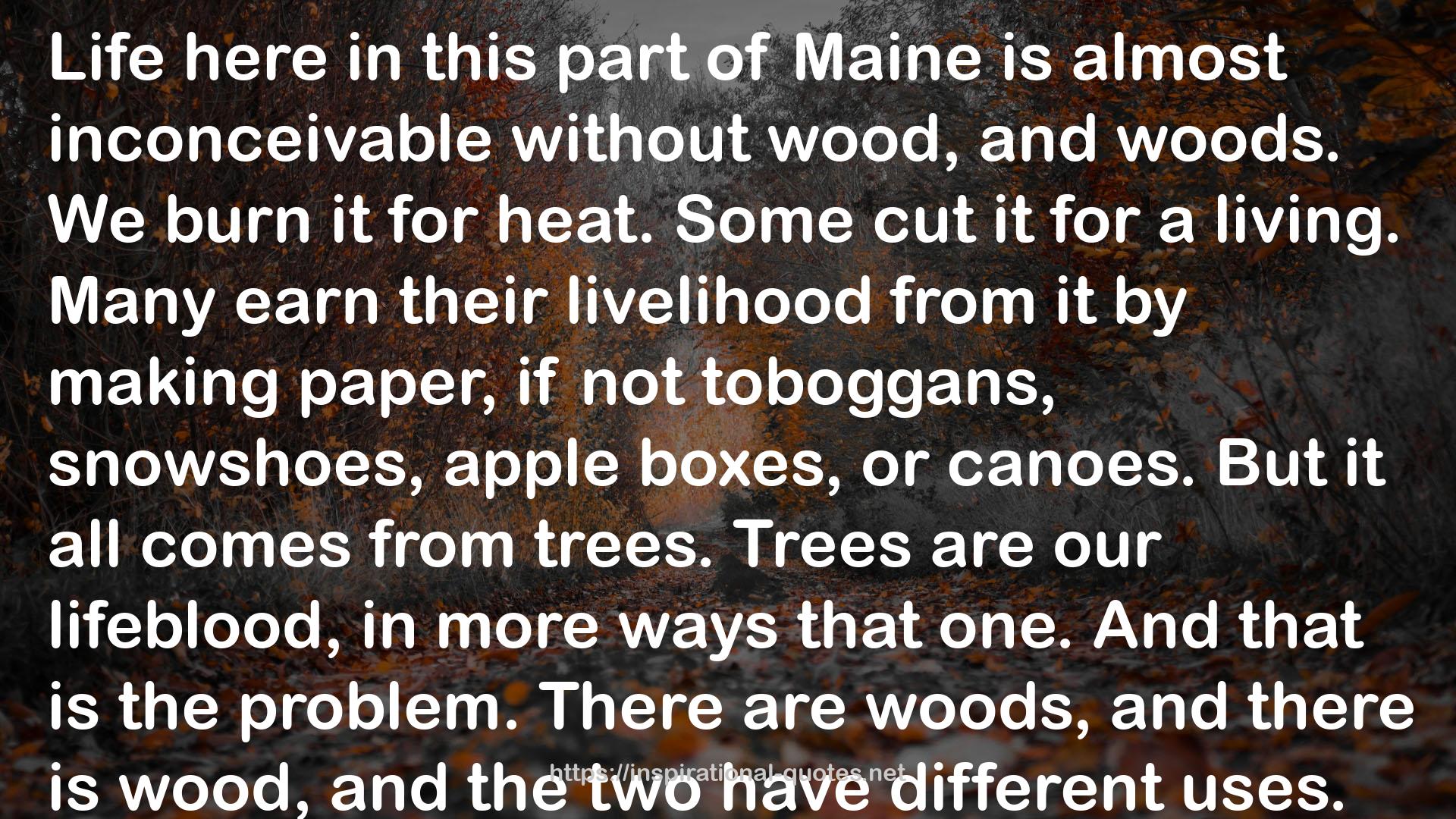A Year in the Maine Woods QUOTES