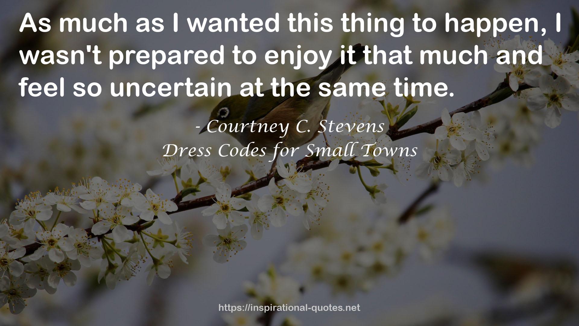Dress Codes for Small Towns QUOTES