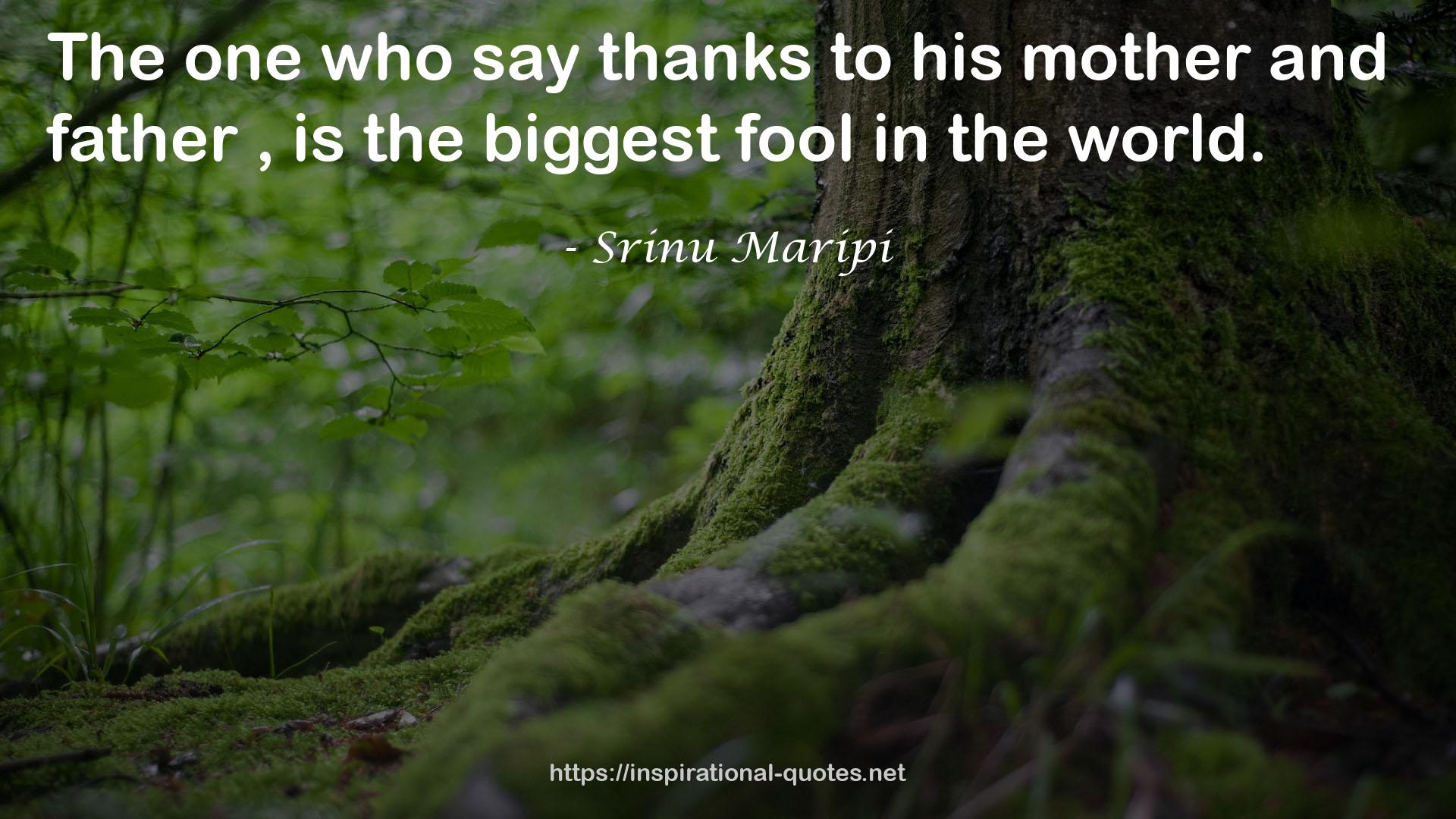 Srinu Maripi QUOTES