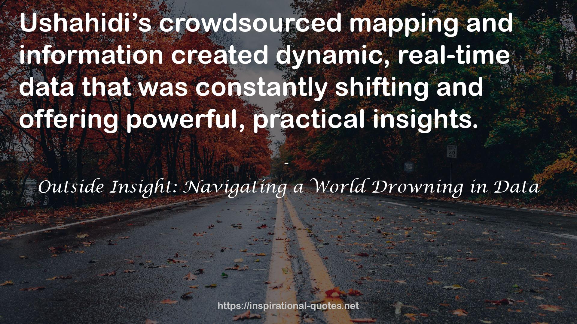 Outside Insight: Navigating a World Drowning in Data QUOTES