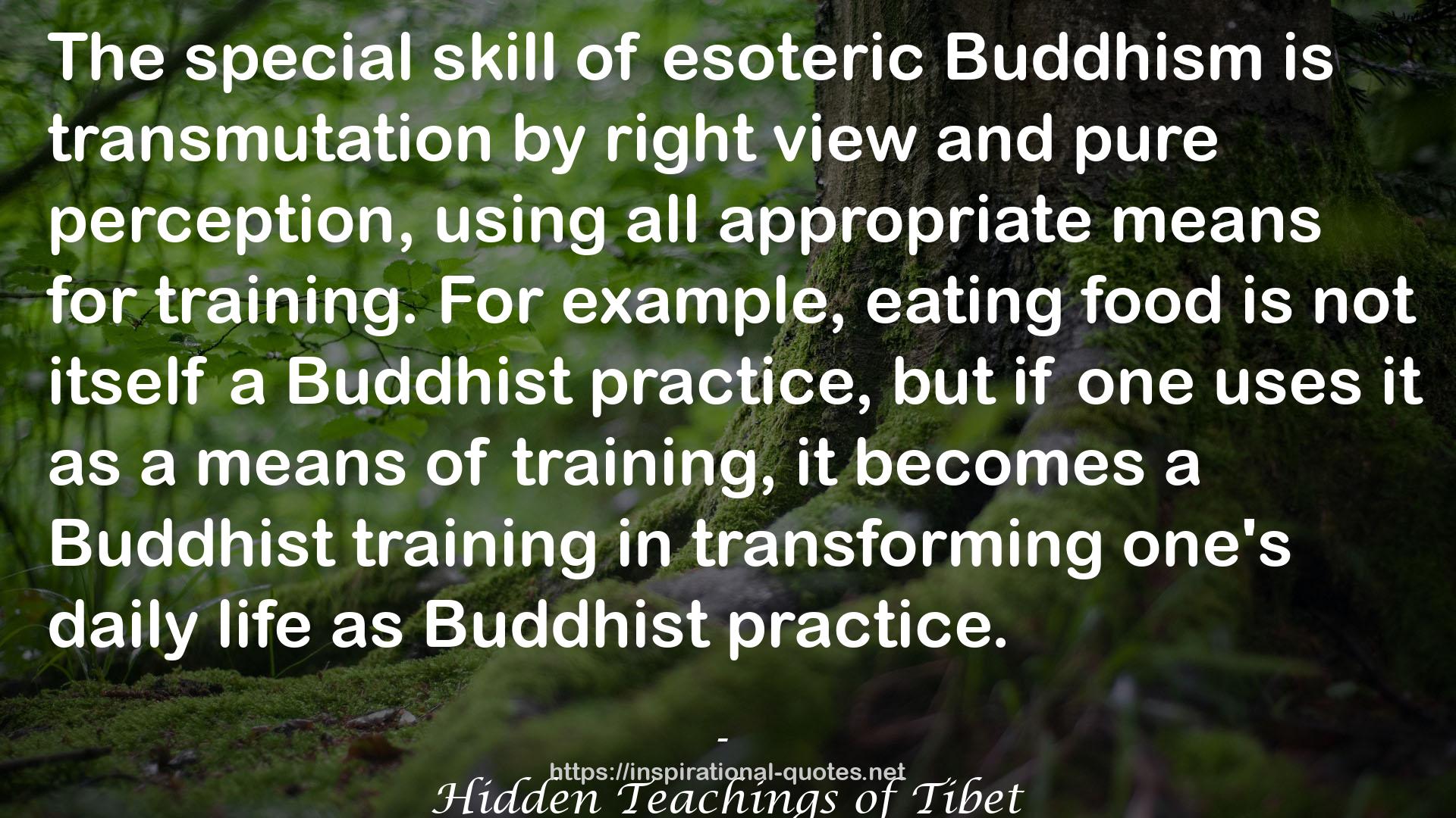Hidden Teachings of Tibet QUOTES