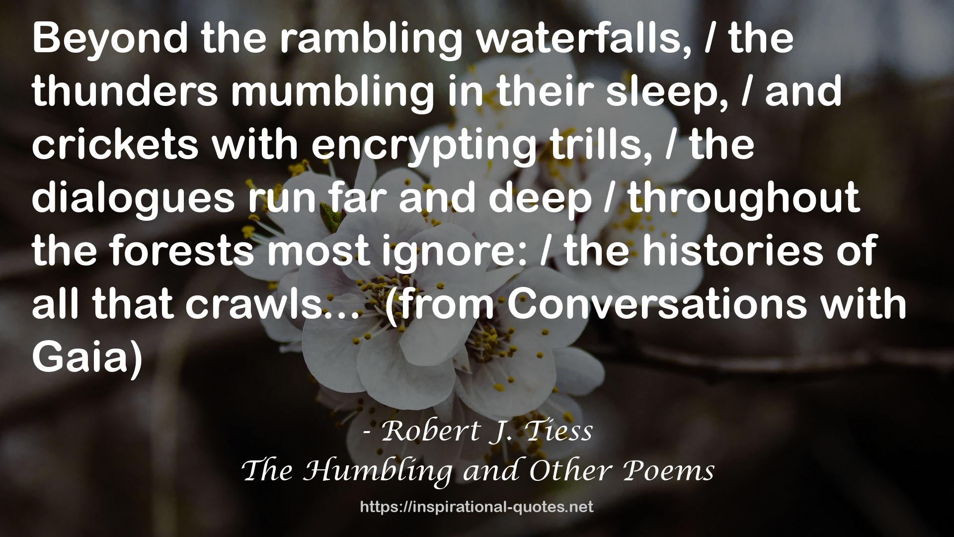 Robert J. Tiess QUOTES