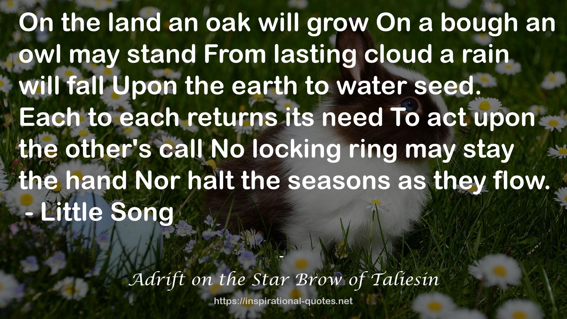 Adrift on the Star Brow of Taliesin QUOTES