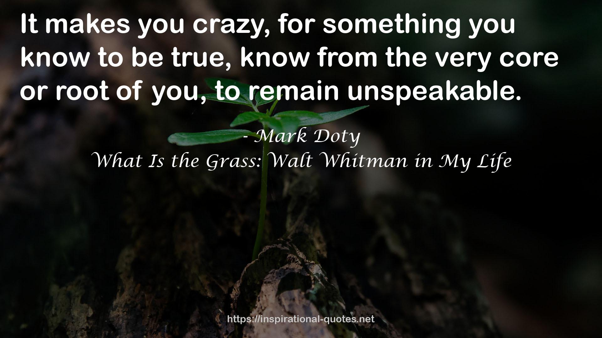 What Is the Grass: Walt Whitman in My Life QUOTES