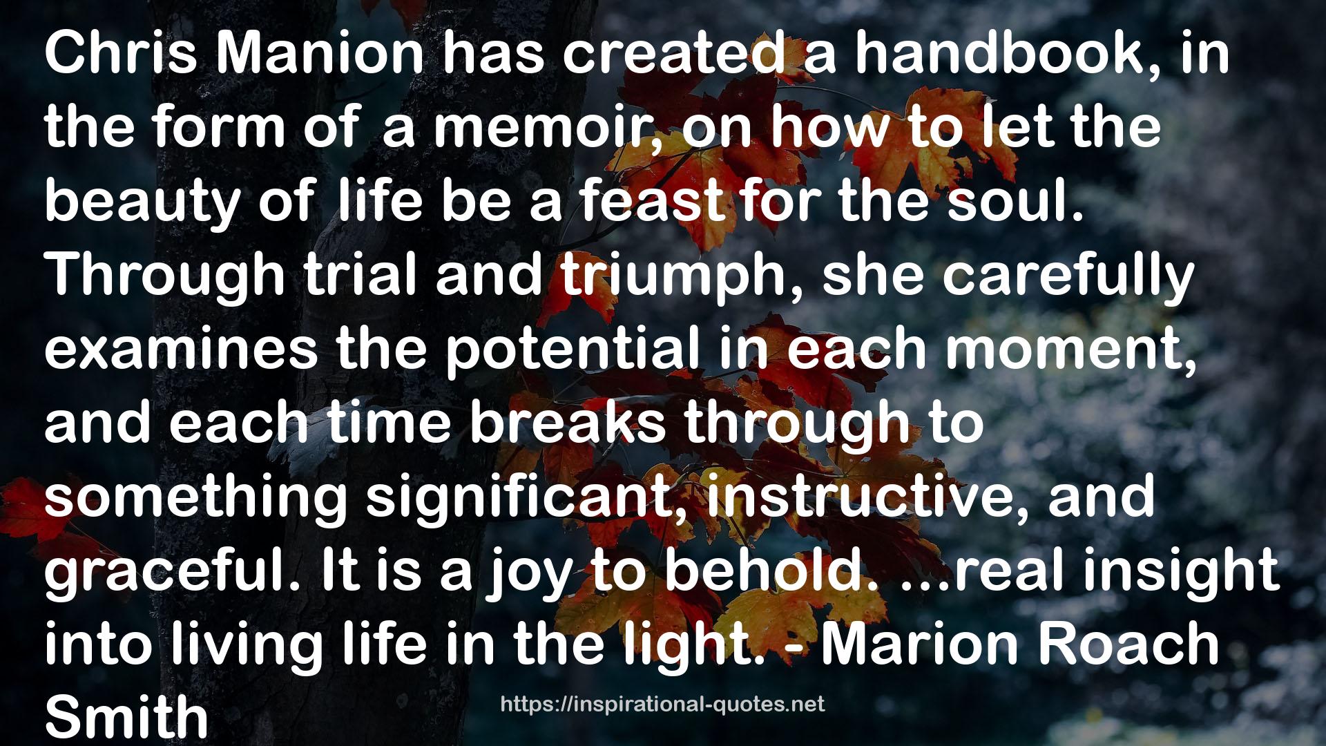 Chris Manion QUOTES