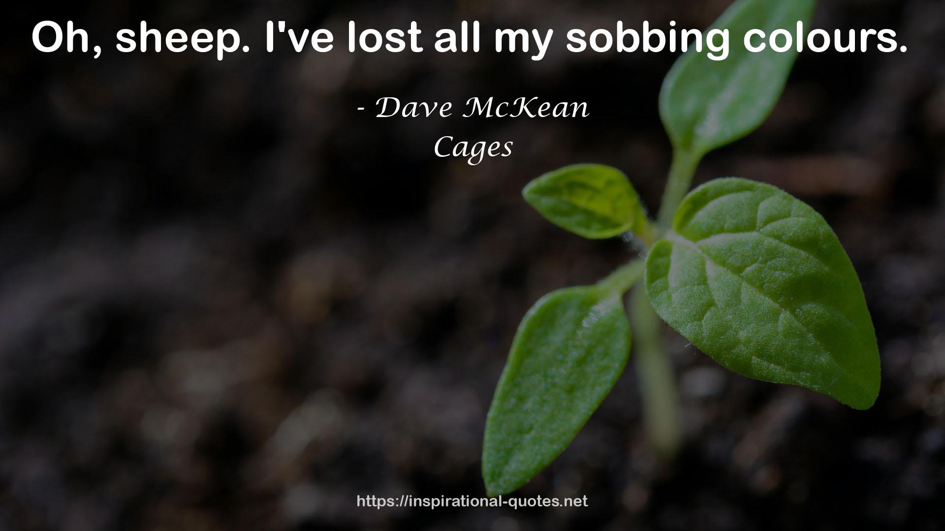 Dave McKean QUOTES