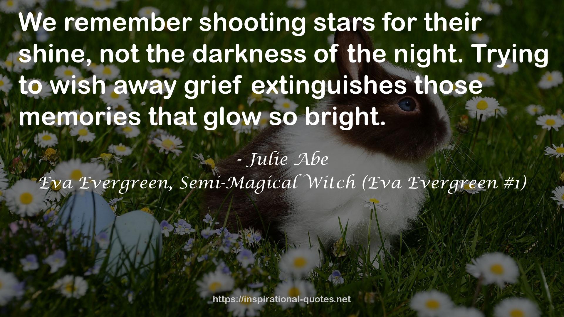 Julie Abe QUOTES