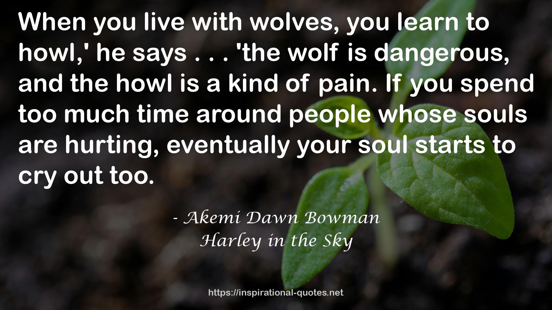 Akemi Dawn Bowman QUOTES