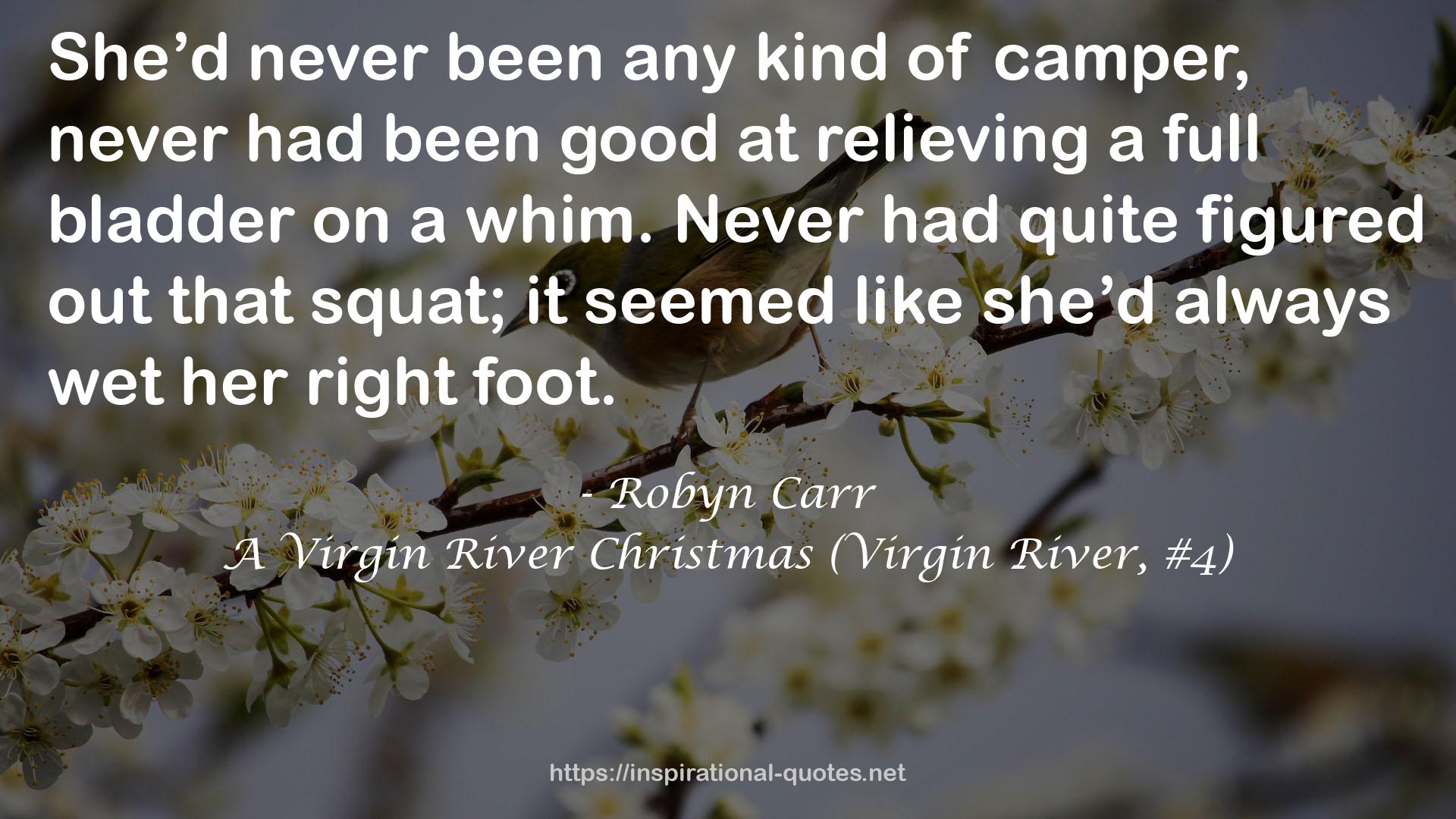 A Virgin River Christmas (Virgin River, #4) QUOTES