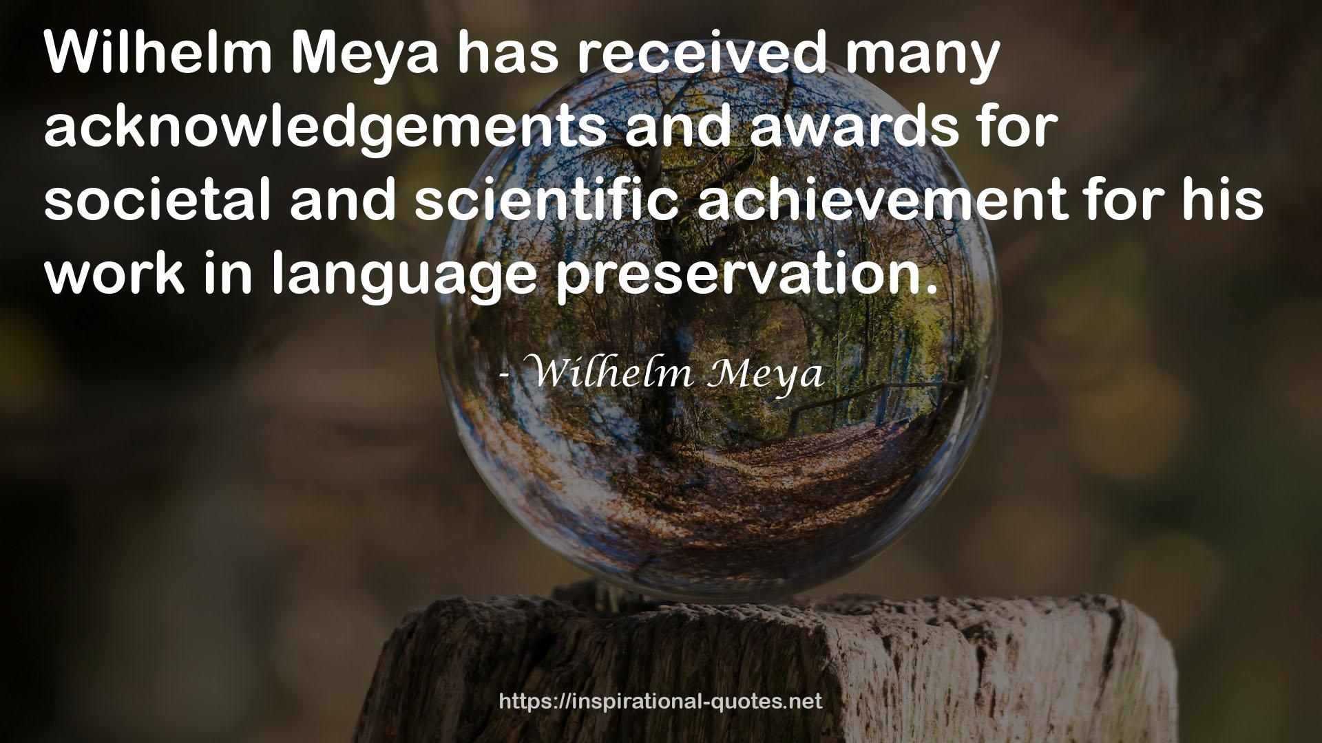 Wilhelm Meya QUOTES