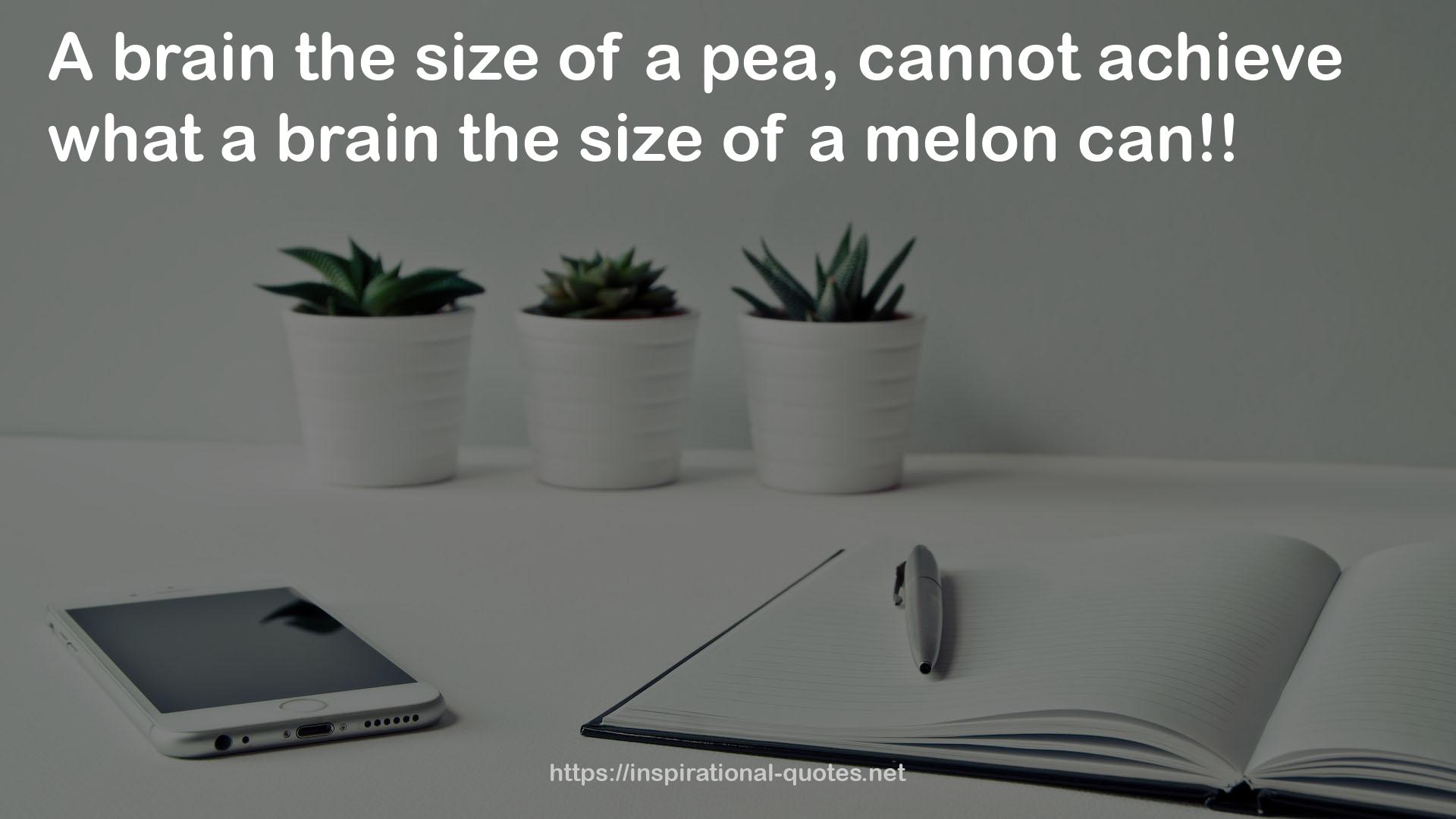 a melon  QUOTES