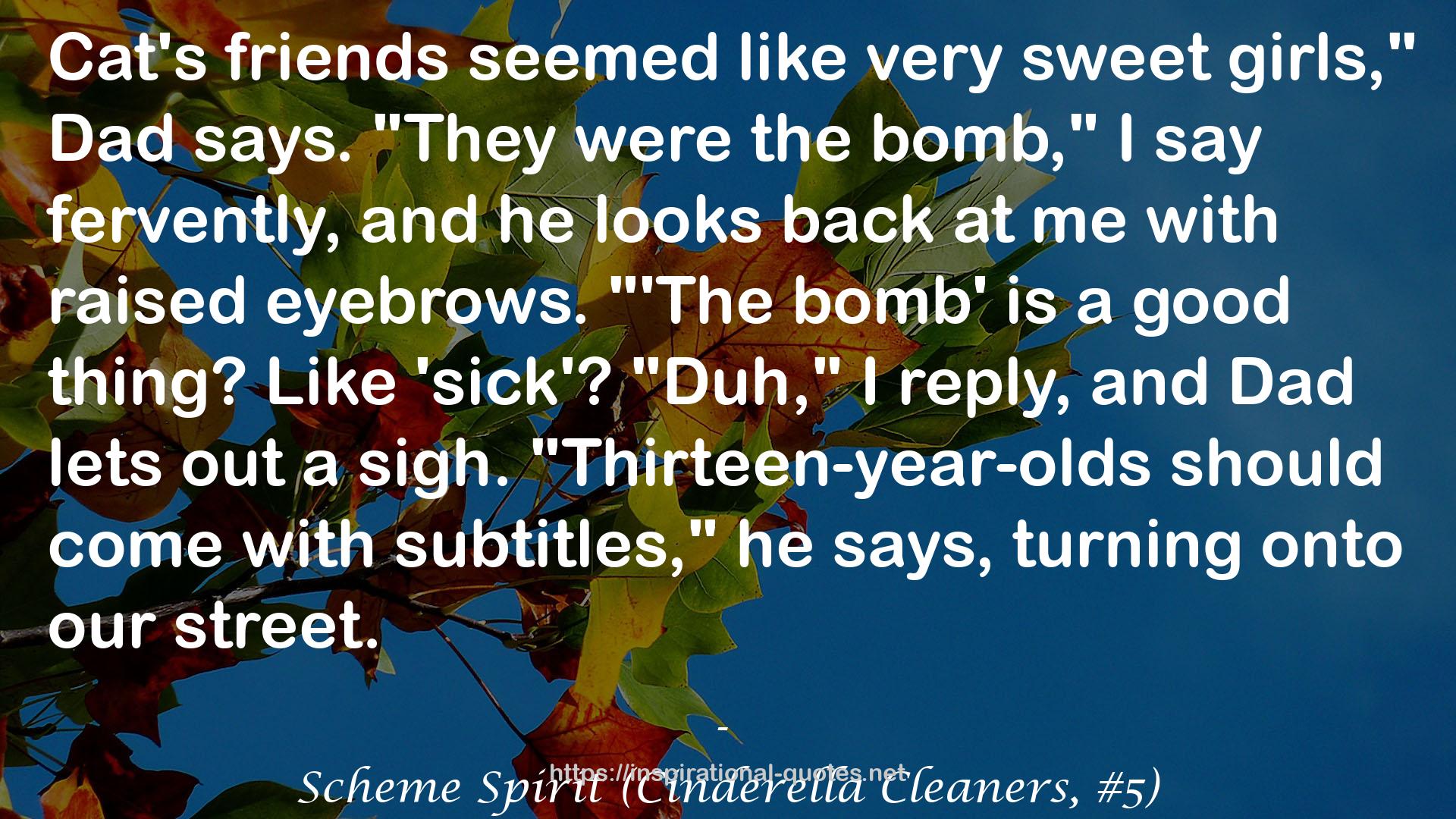 Scheme Spirit (Cinderella Cleaners, #5) QUOTES