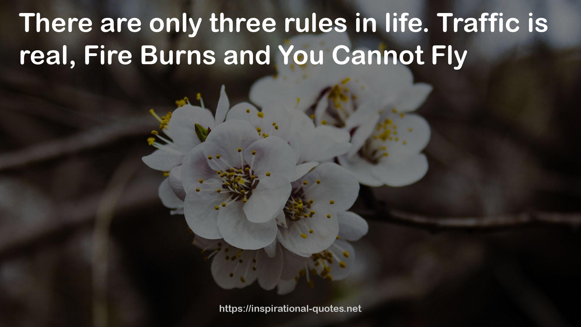 only three rules  QUOTES