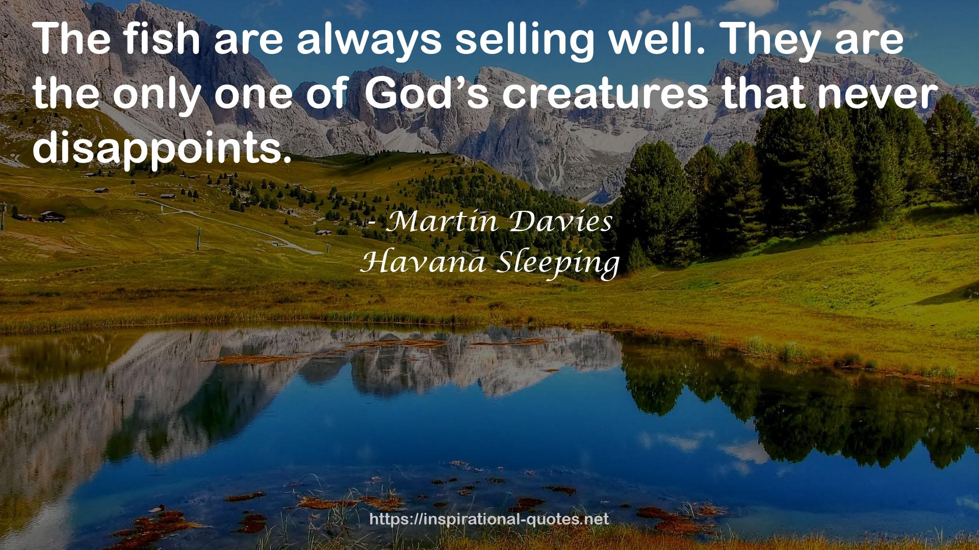 Martin Davies QUOTES