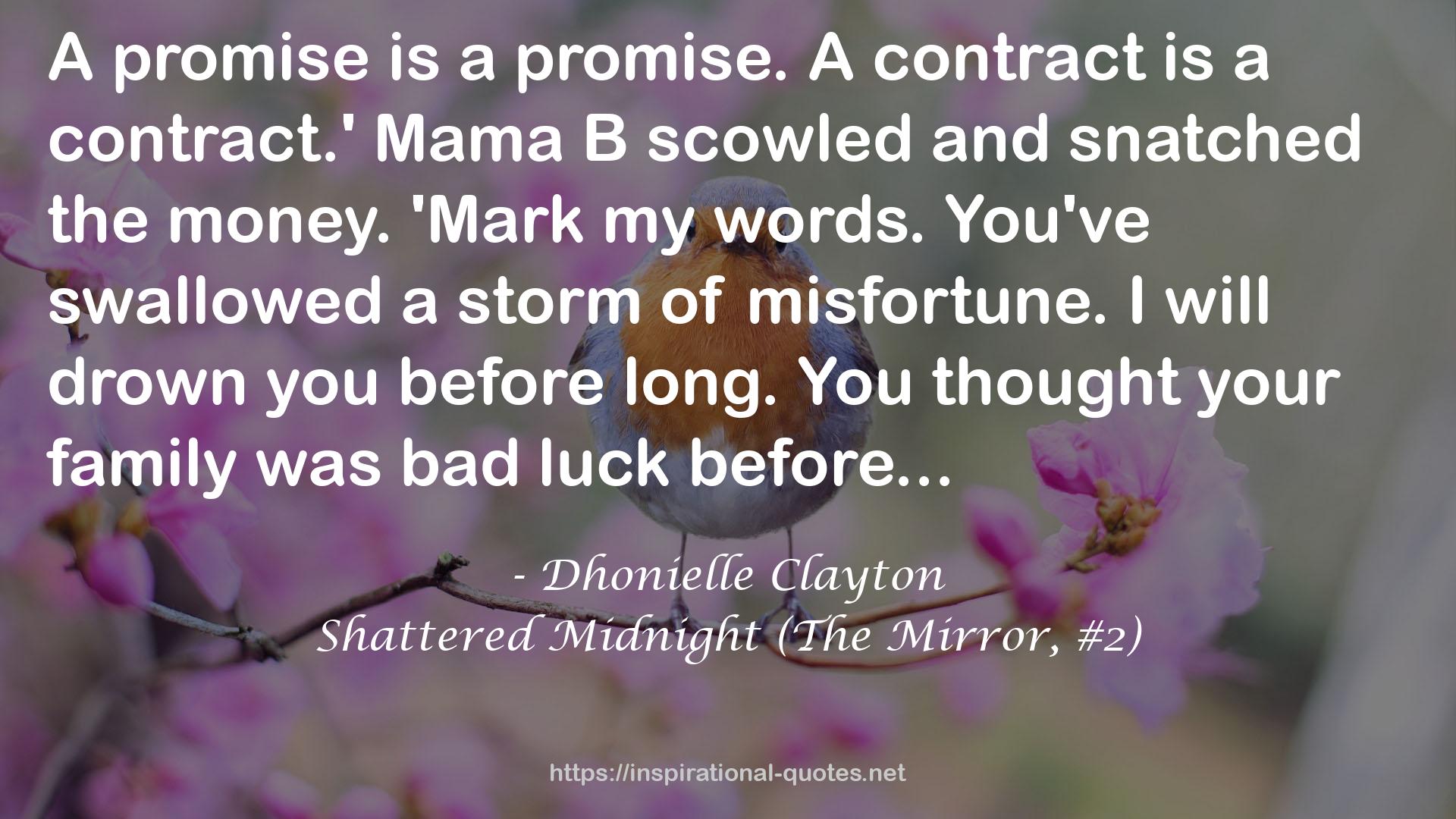 Shattered Midnight (The Mirror, #2) QUOTES