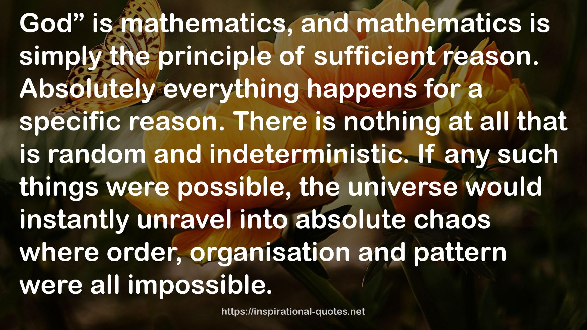 The Mathematical Universe (The God Series) QUOTES