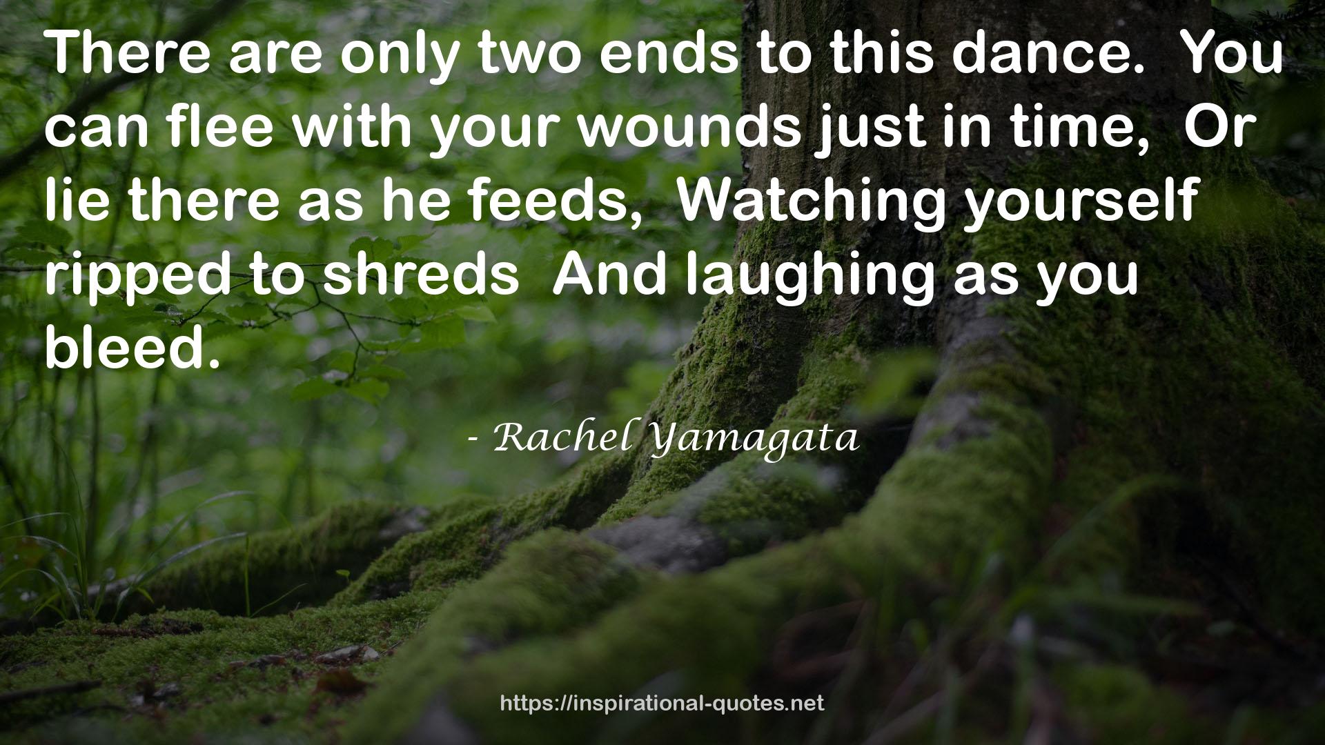 Rachel Yamagata QUOTES