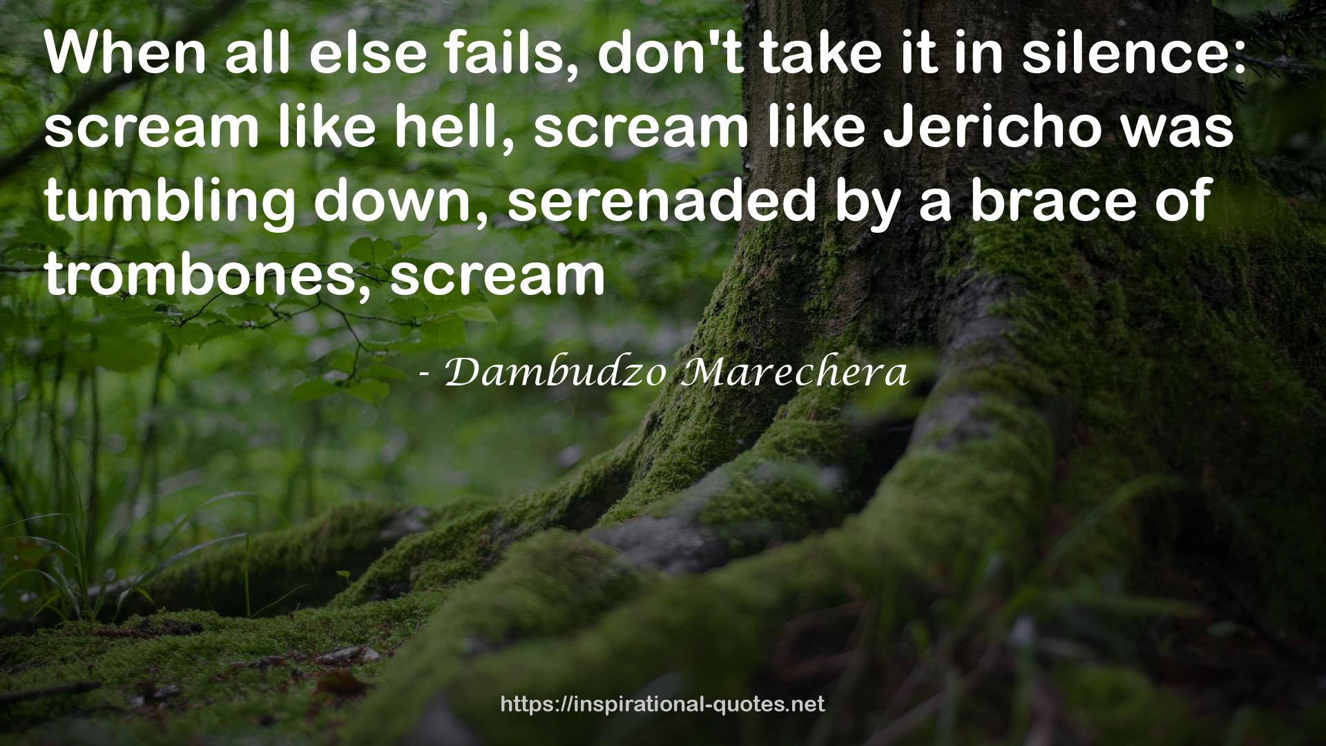 Dambudzo Marechera QUOTES